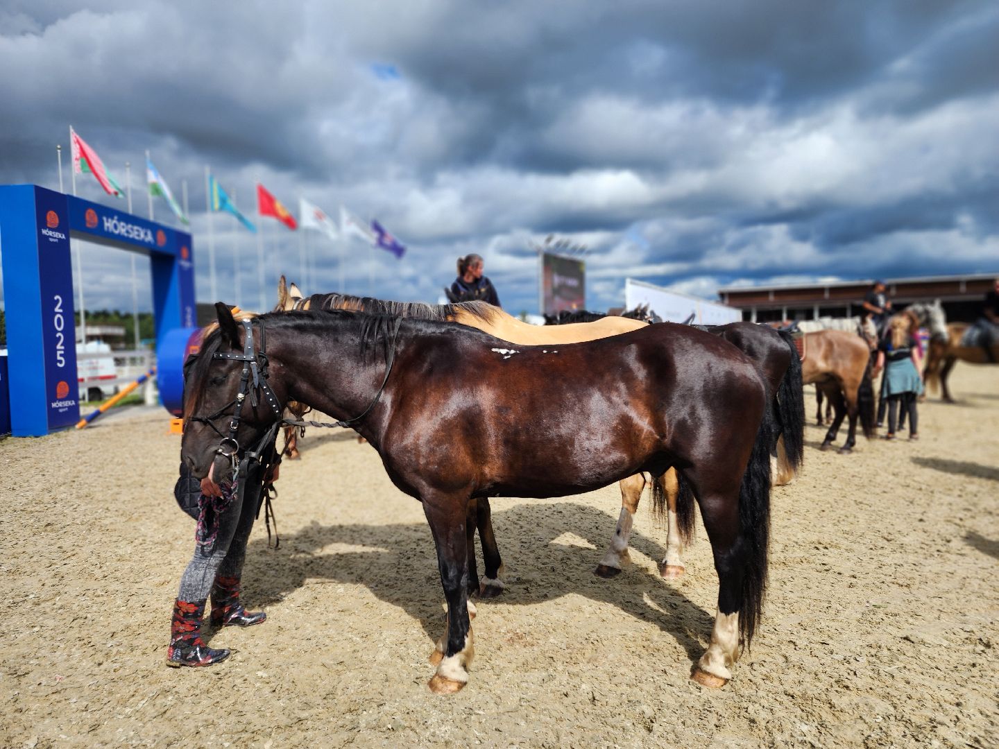 Черноголовка, Иваново поле, Конкур,