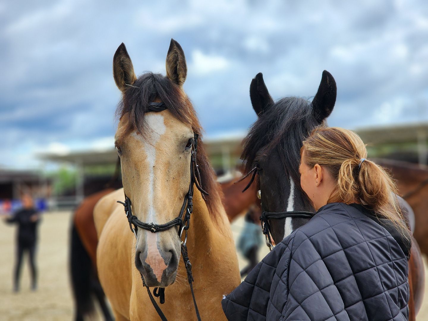 Черноголовка, Иваново поле, Конкур,