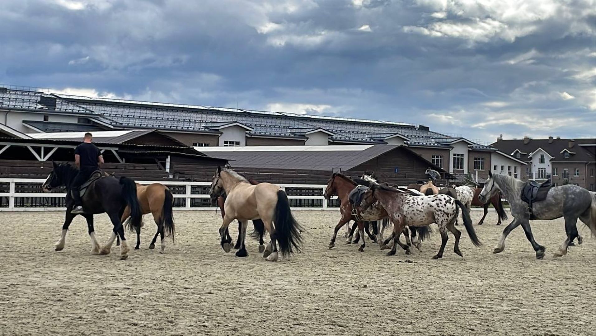 Черноголовка, Иваново поле, Конкур,