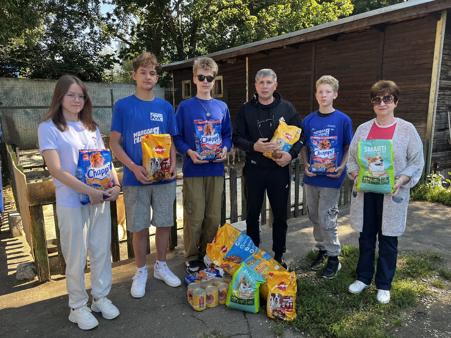 воскресенск, приют для бездомных животных,  волонтерская помощь,