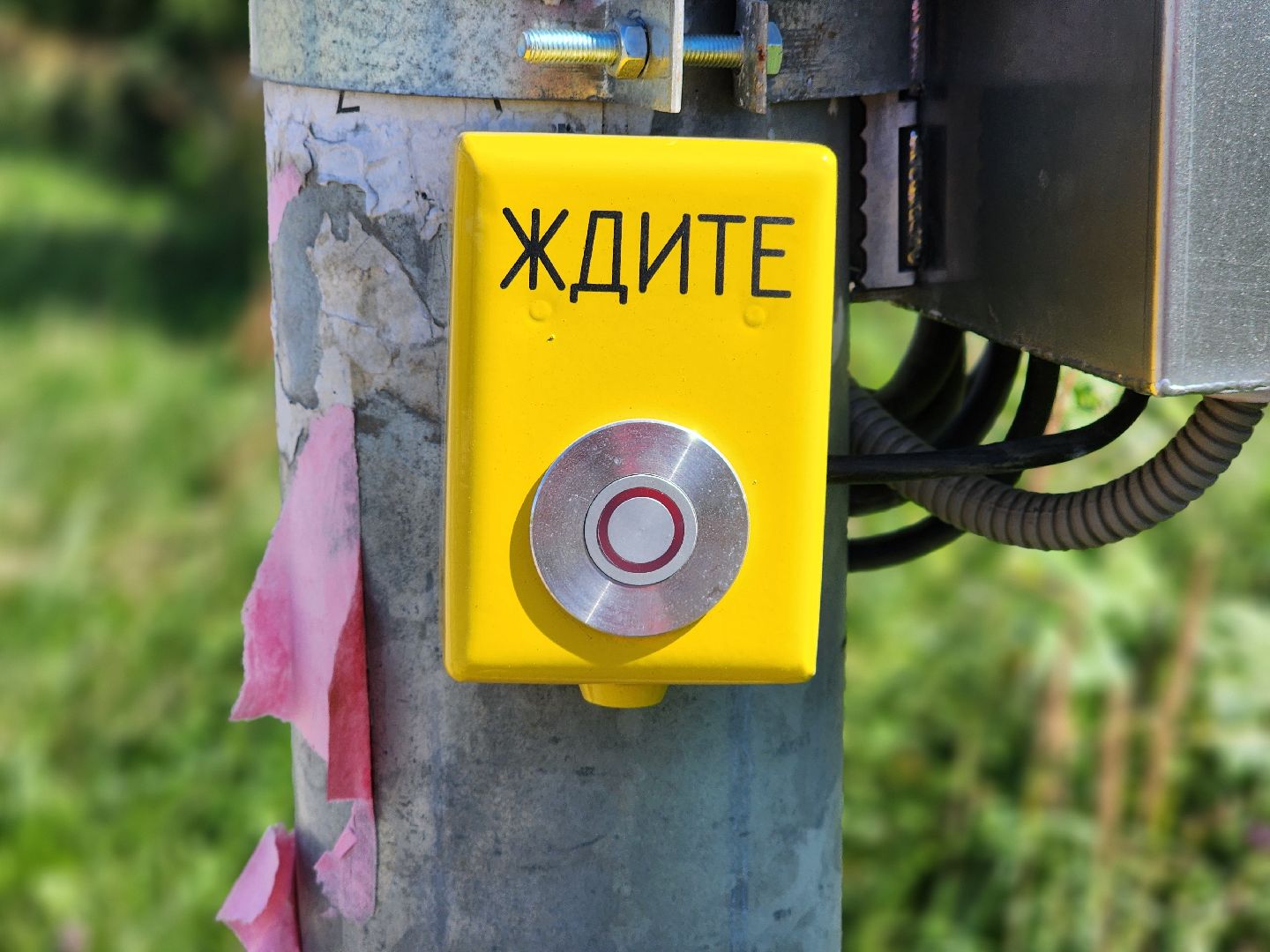 сергиев посад, сергиево-посадский городской округ, машино, светофор, безопасный переход,машино-дубки,