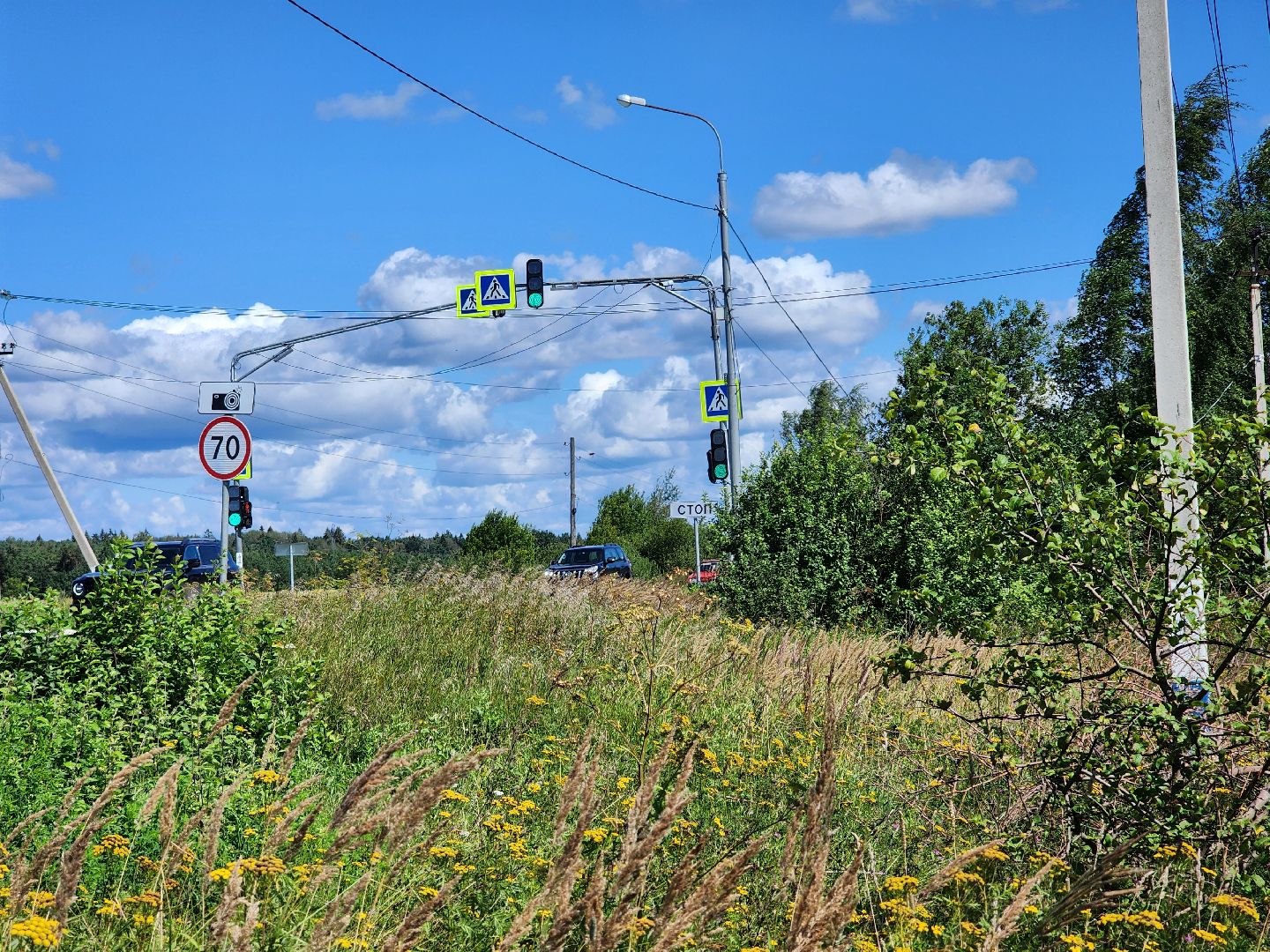 сергиев посад, сергиево-посадский городской округ, машино, светофор, безопасный переход,машино-дубки,
