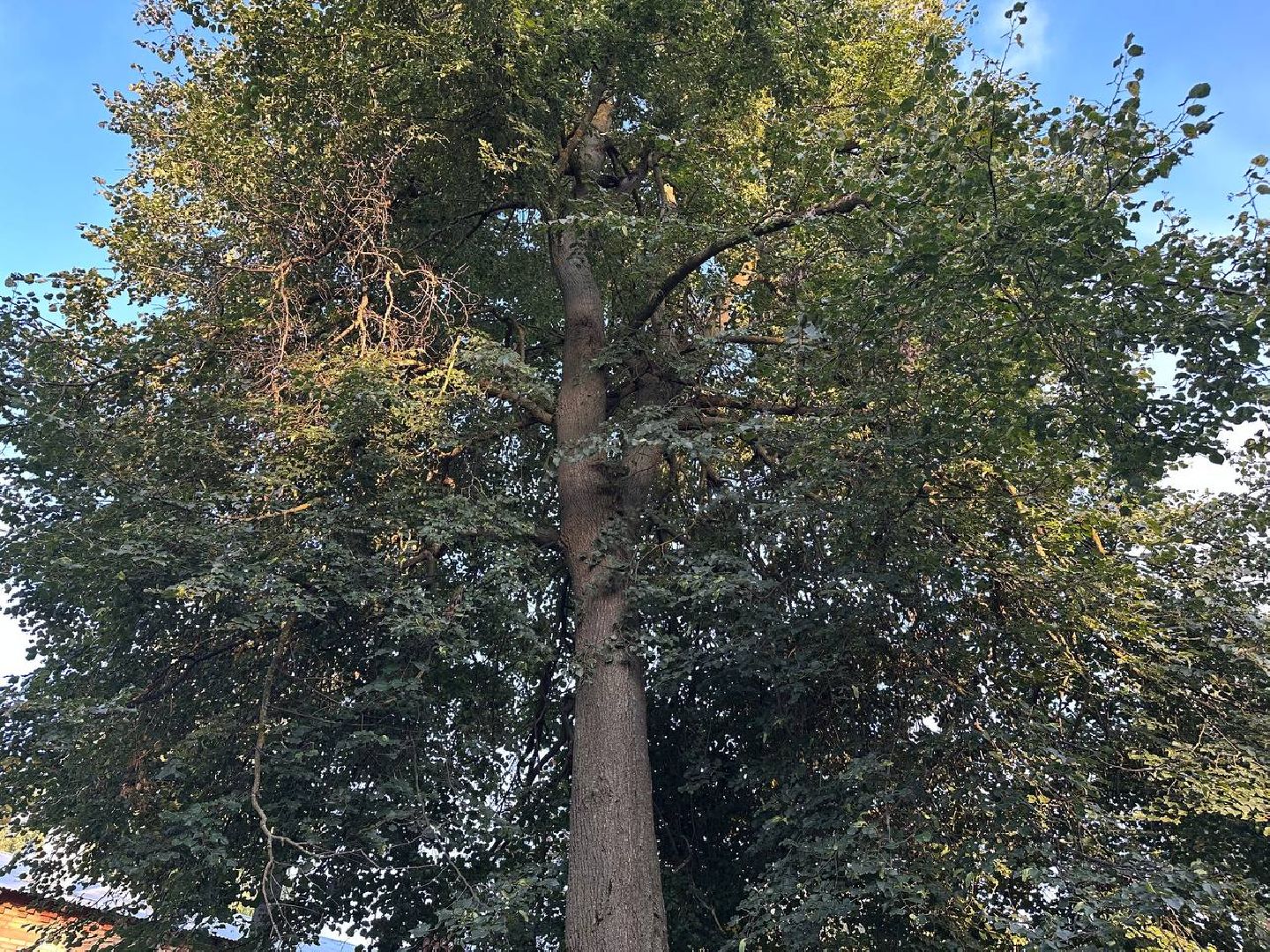 выездная администрация, домодедово,