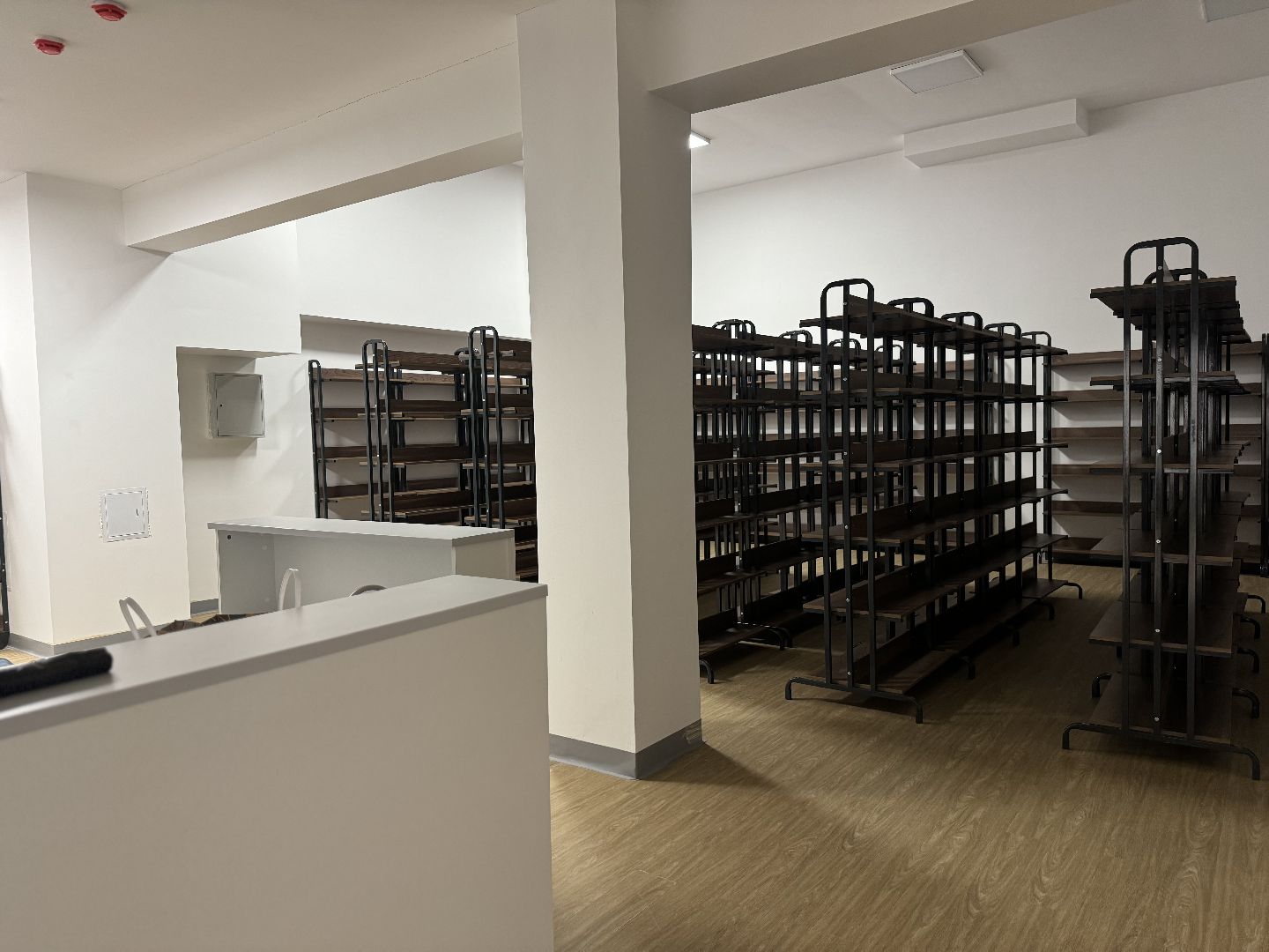 открытие школы , ленинский городской округ, жк пригород лесное, школьники, 1 сентября,