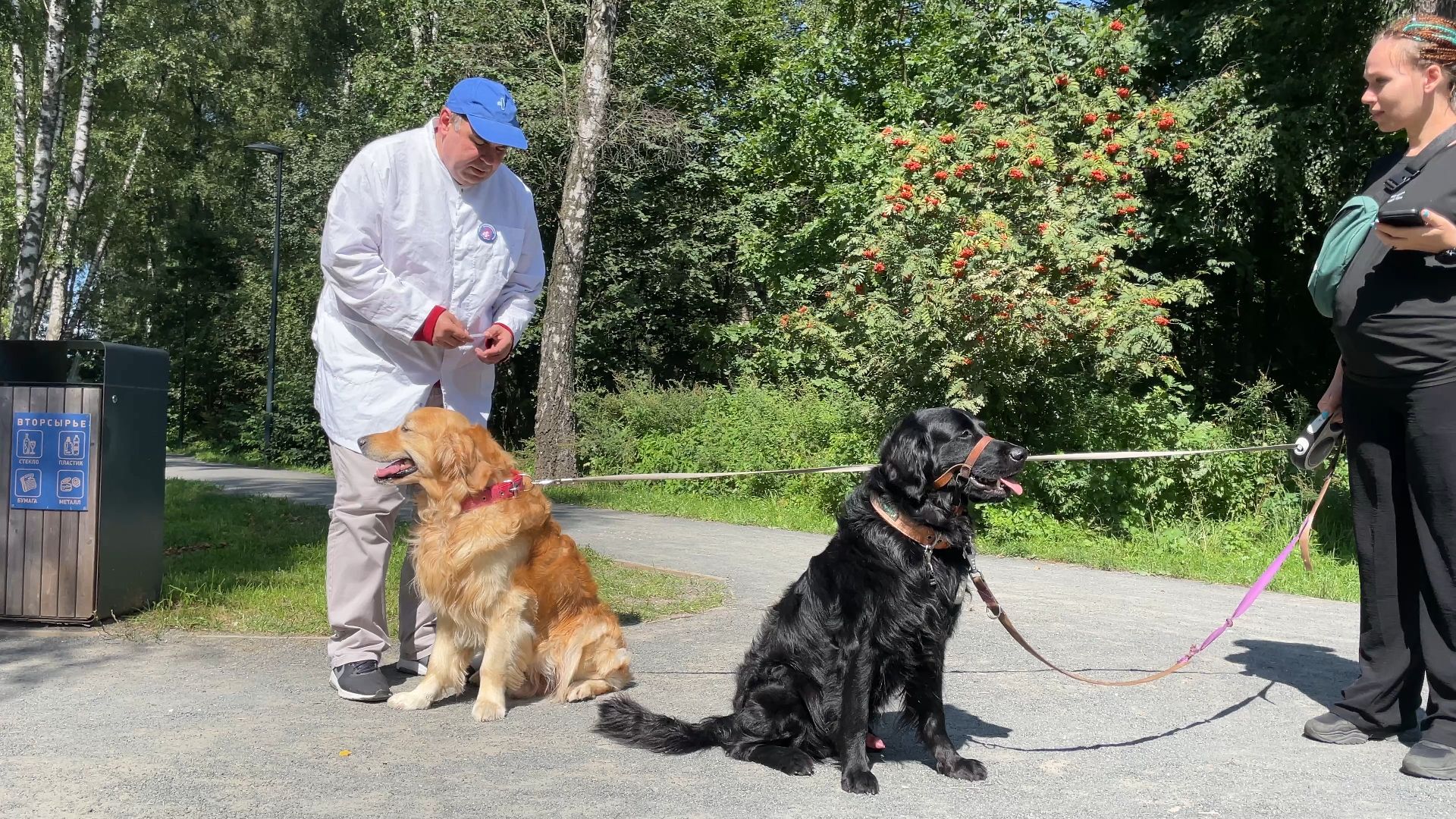 вакцинация животных от бешенства в Балашихе, Балашиха,