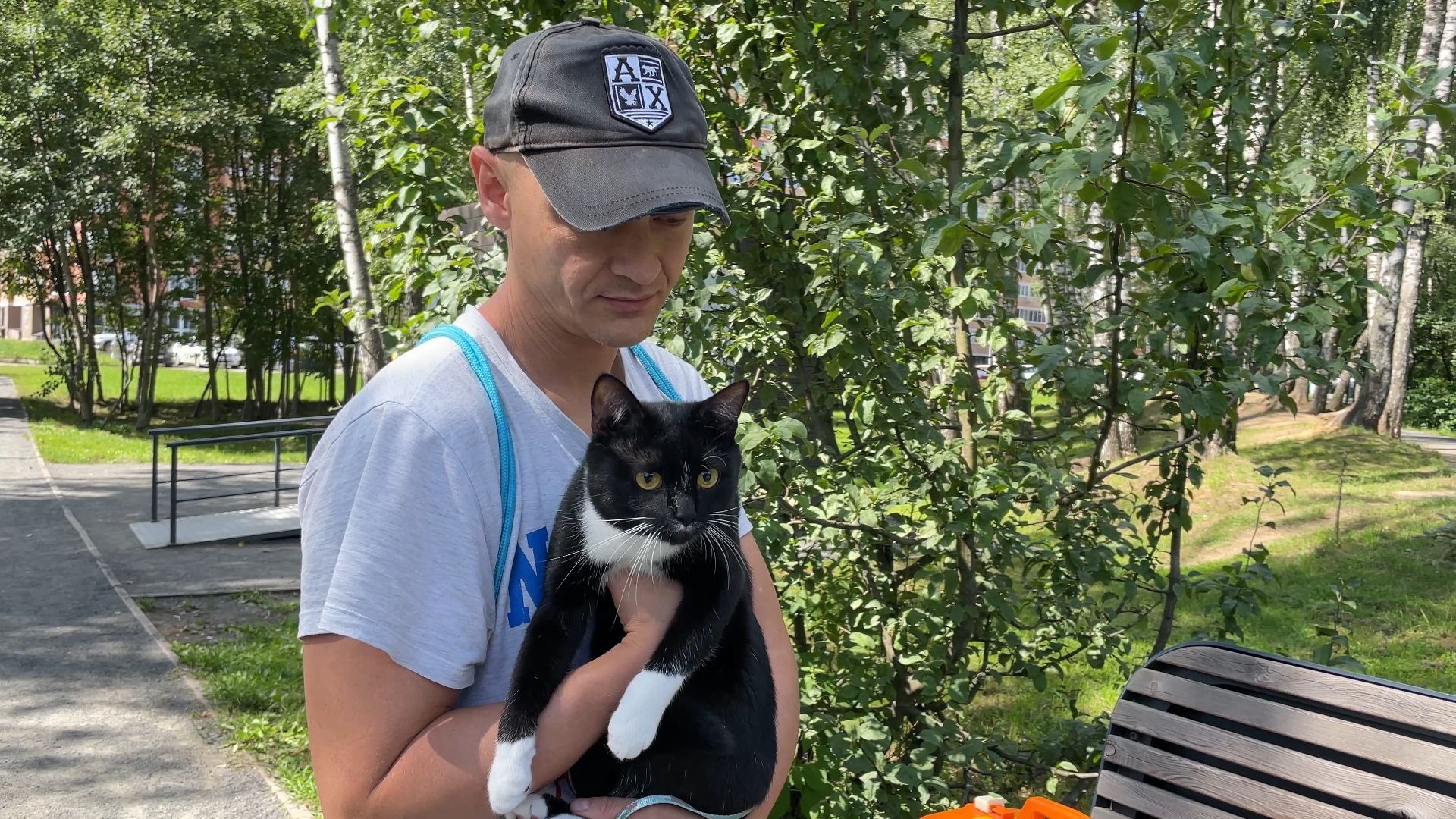 вакцинация животных от бешенства в Балашихе, Балашиха,