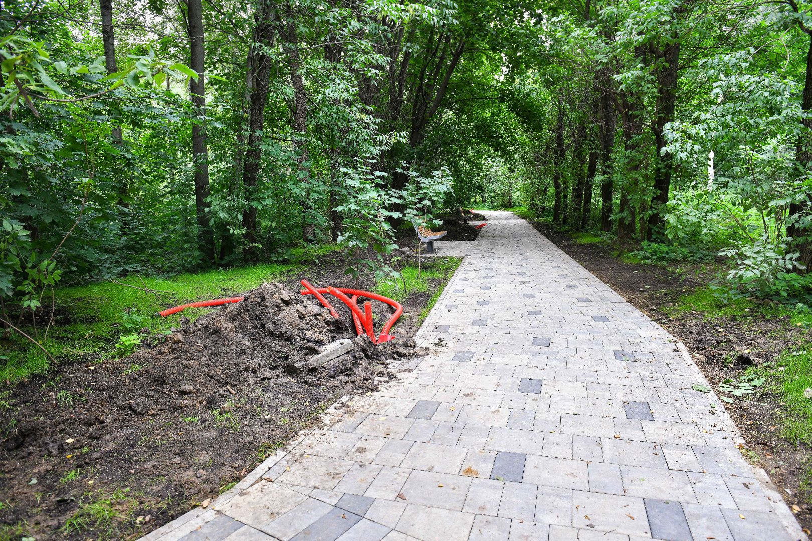 парк, благоустройство, город,