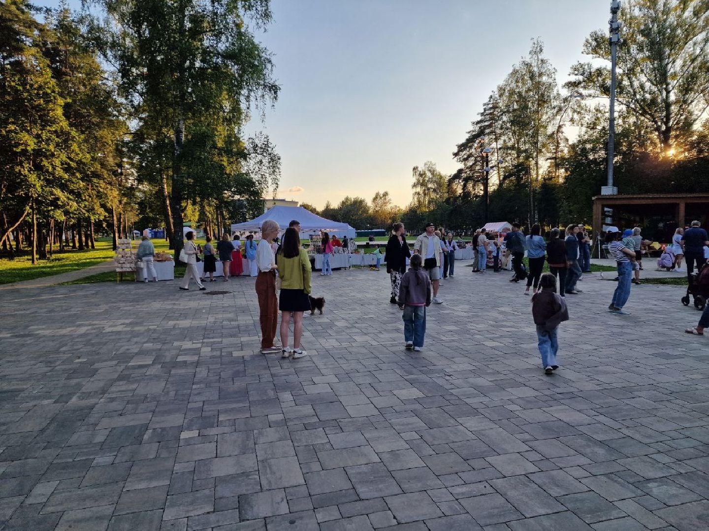 дубна, цой, музыка,