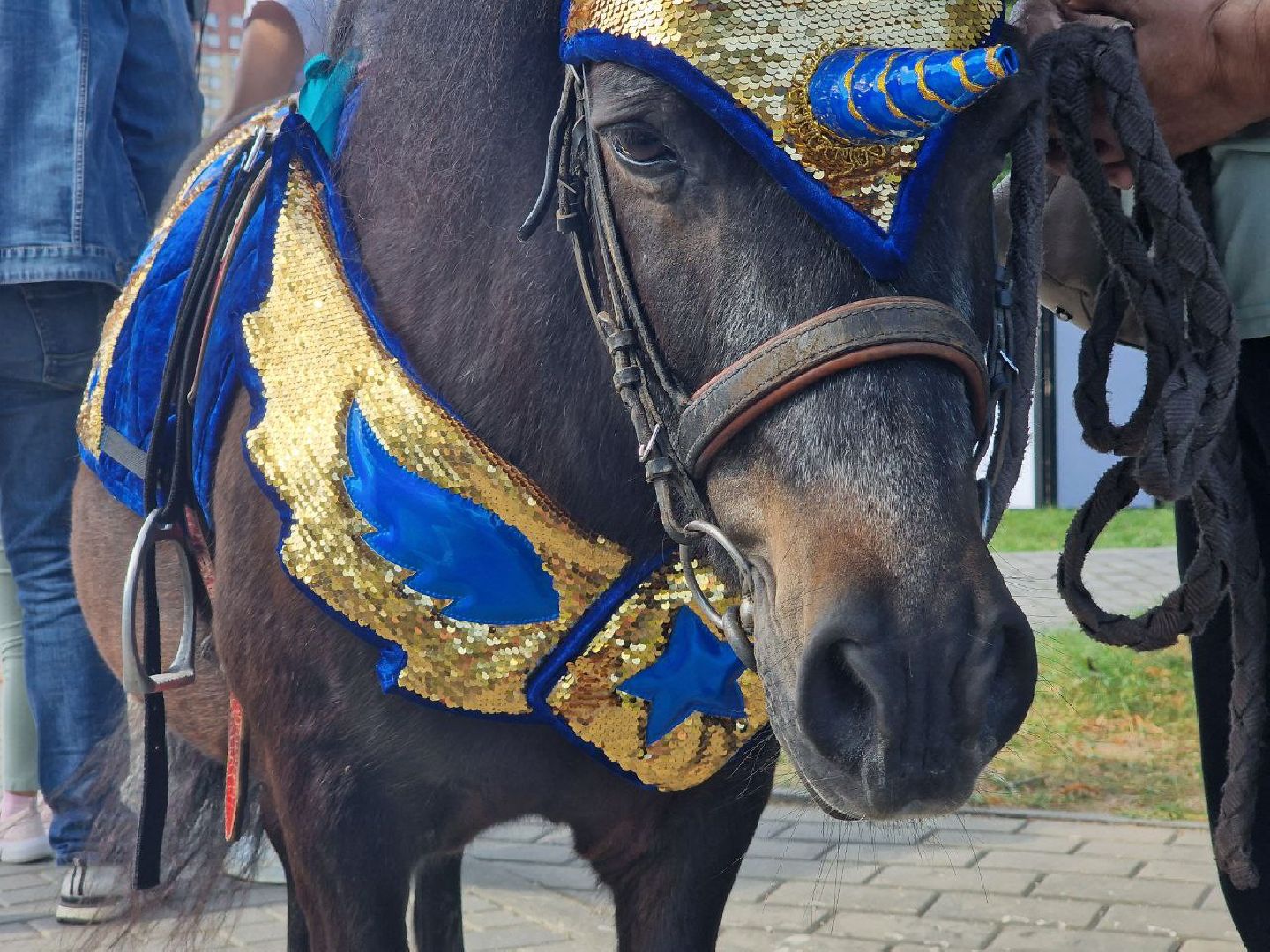 дубна, детскийпраздник,