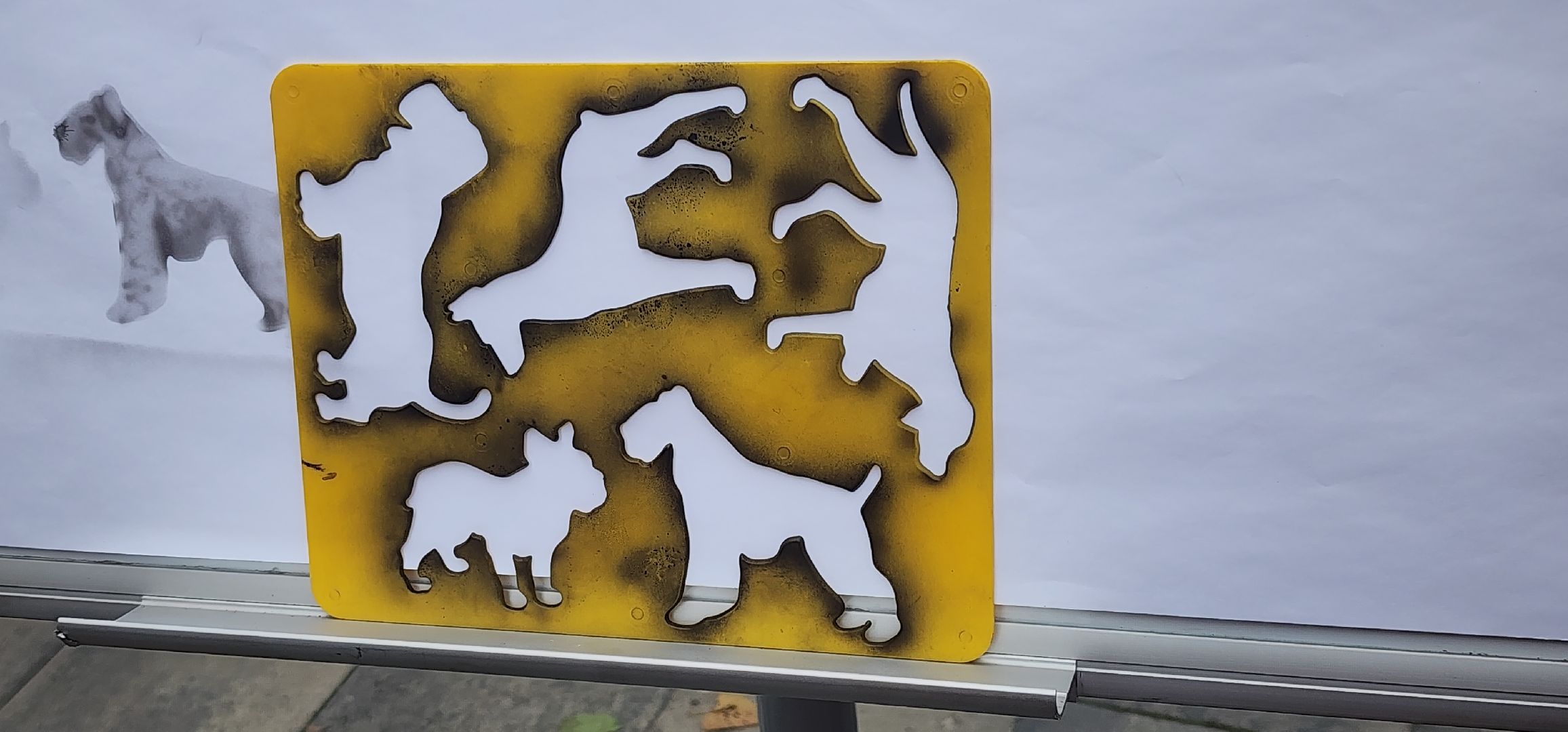 Образование , Звенигород , День молодежи , Профориентация ,