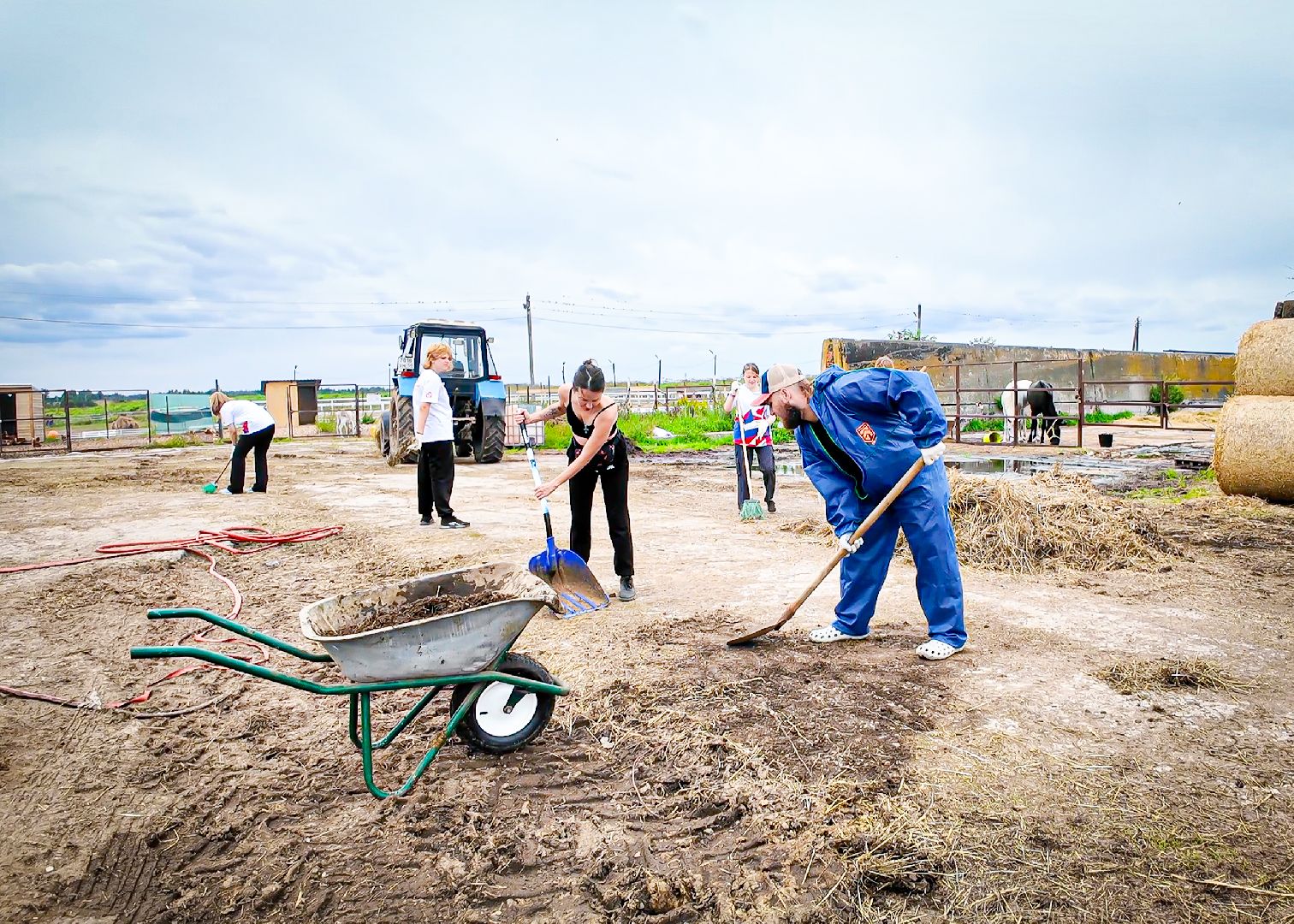 клин, общество, приюты, волонтеры,  благотворительность, помощь животным,