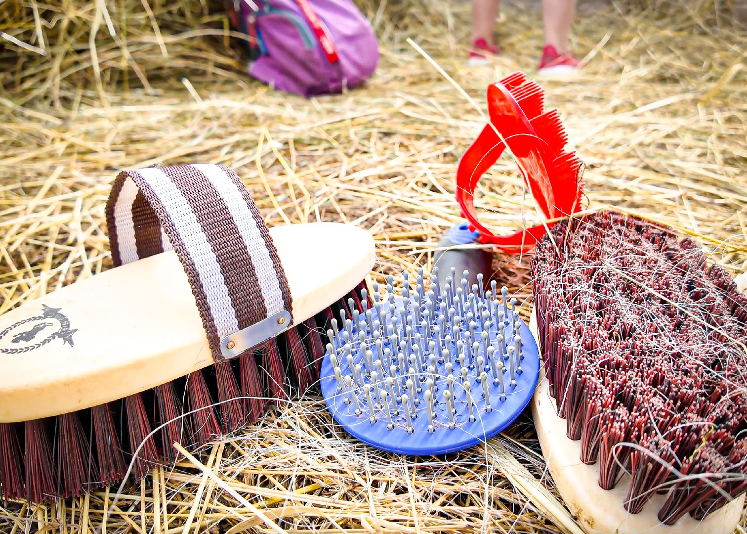 клин, общество, приюты, волонтеры,  благотворительность, помощь животным,