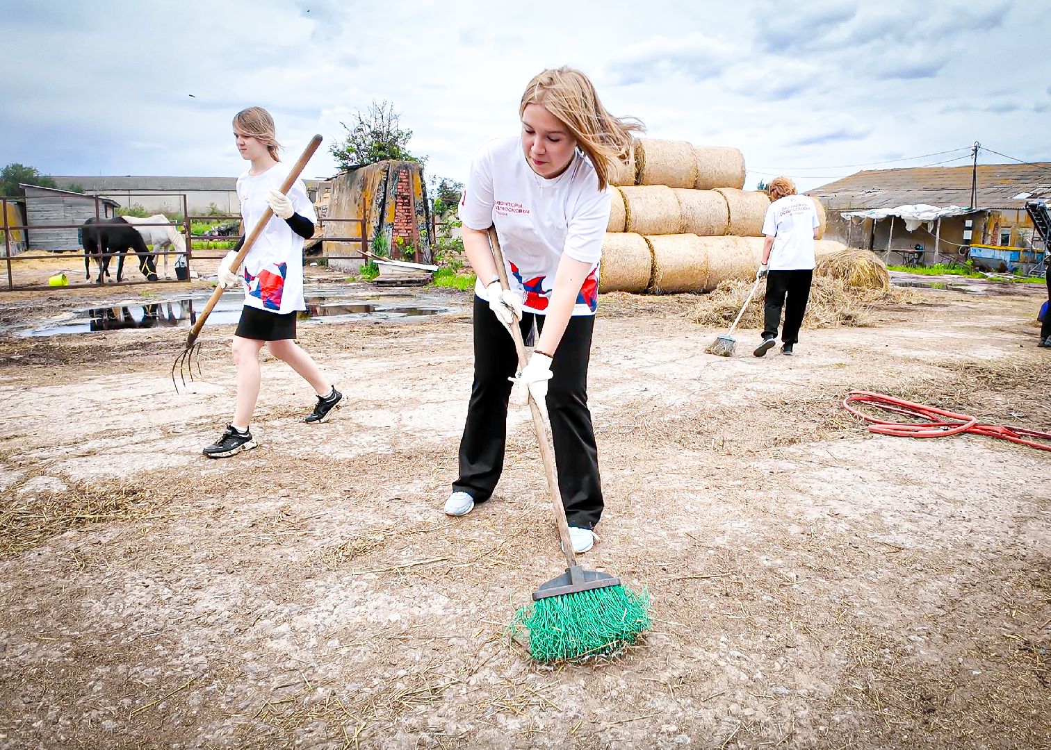 клин, общество, приюты, волонтеры,  благотворительность, помощь животным,