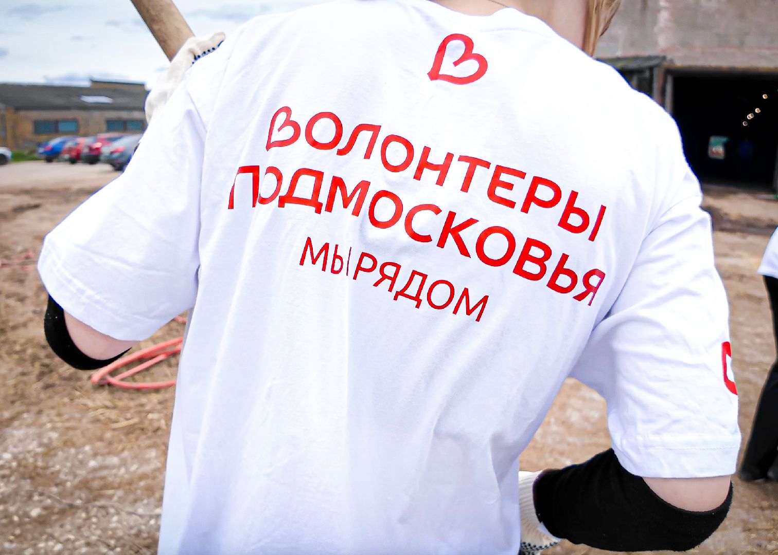 клин, общество, приюты, волонтеры,  благотворительность, помощь животным,