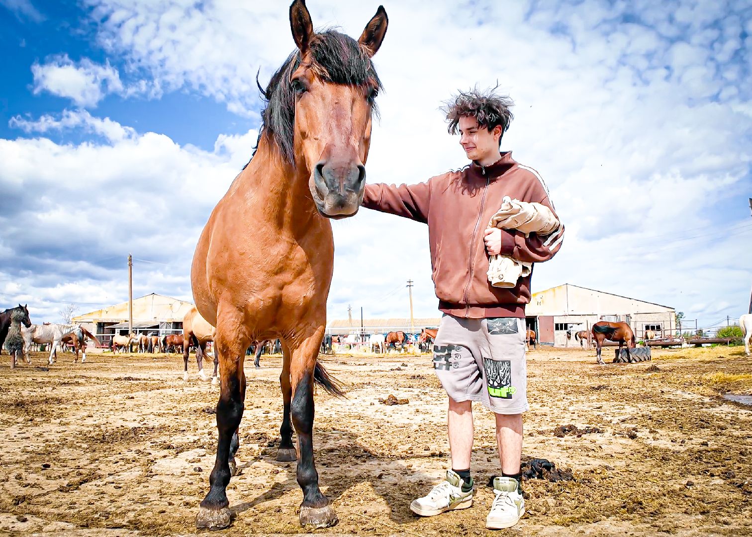 клин, общество, приюты, волонтеры,  благотворительность, помощь животным,