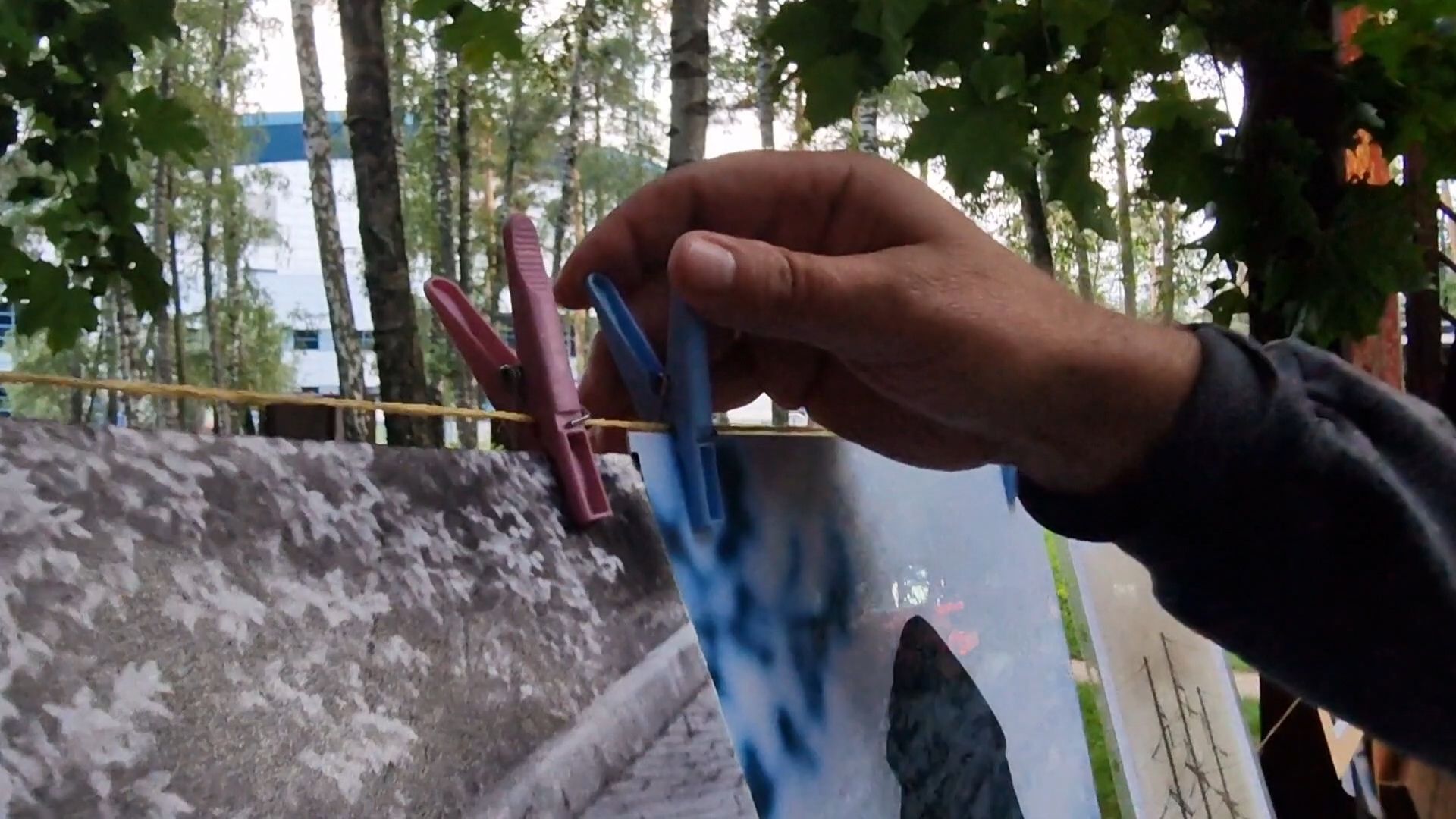 фотосушка балашиха, парк пехорка балашиха,