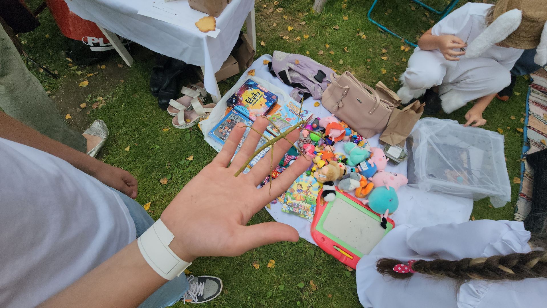 сергиево-посадский городской округ, деревня глебово, Поместье Клу, Белая чердачная барахолка , Барахолка , хоровод,