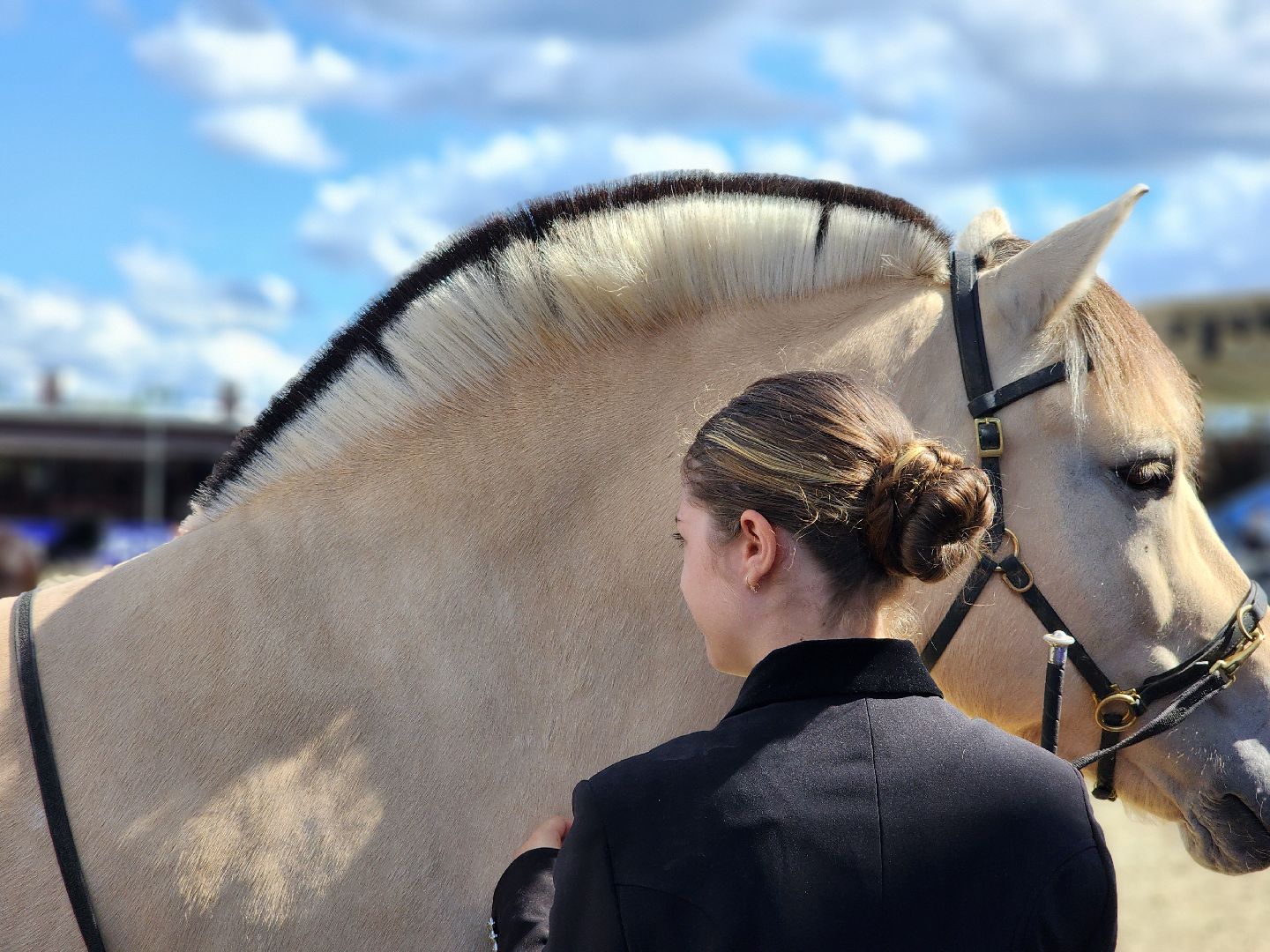 конный фестиваль, иваново поле, конный спорт, село ивановское, городской округ черноголовка,