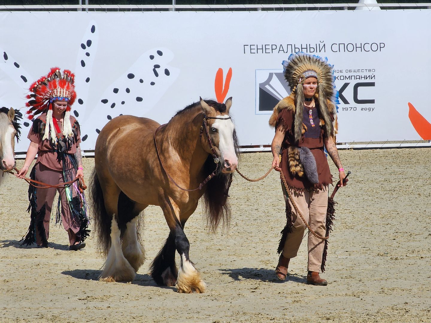 конный фестиваль, иваново поле, конный спорт, село ивановское, городской округ черноголовка,