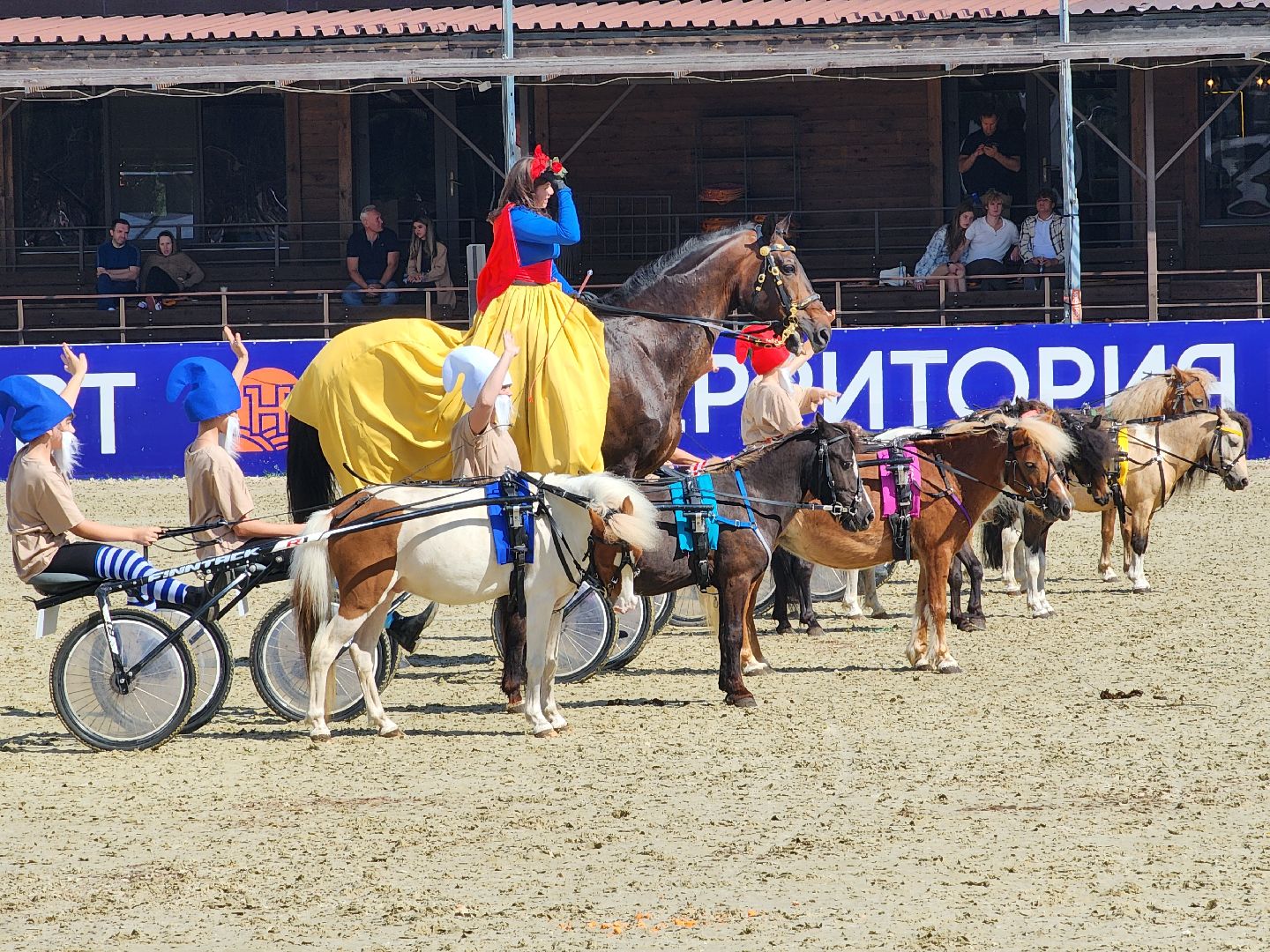 конный фестиваль, иваново поле, конный спорт, село ивановское, городской округ черноголовка,