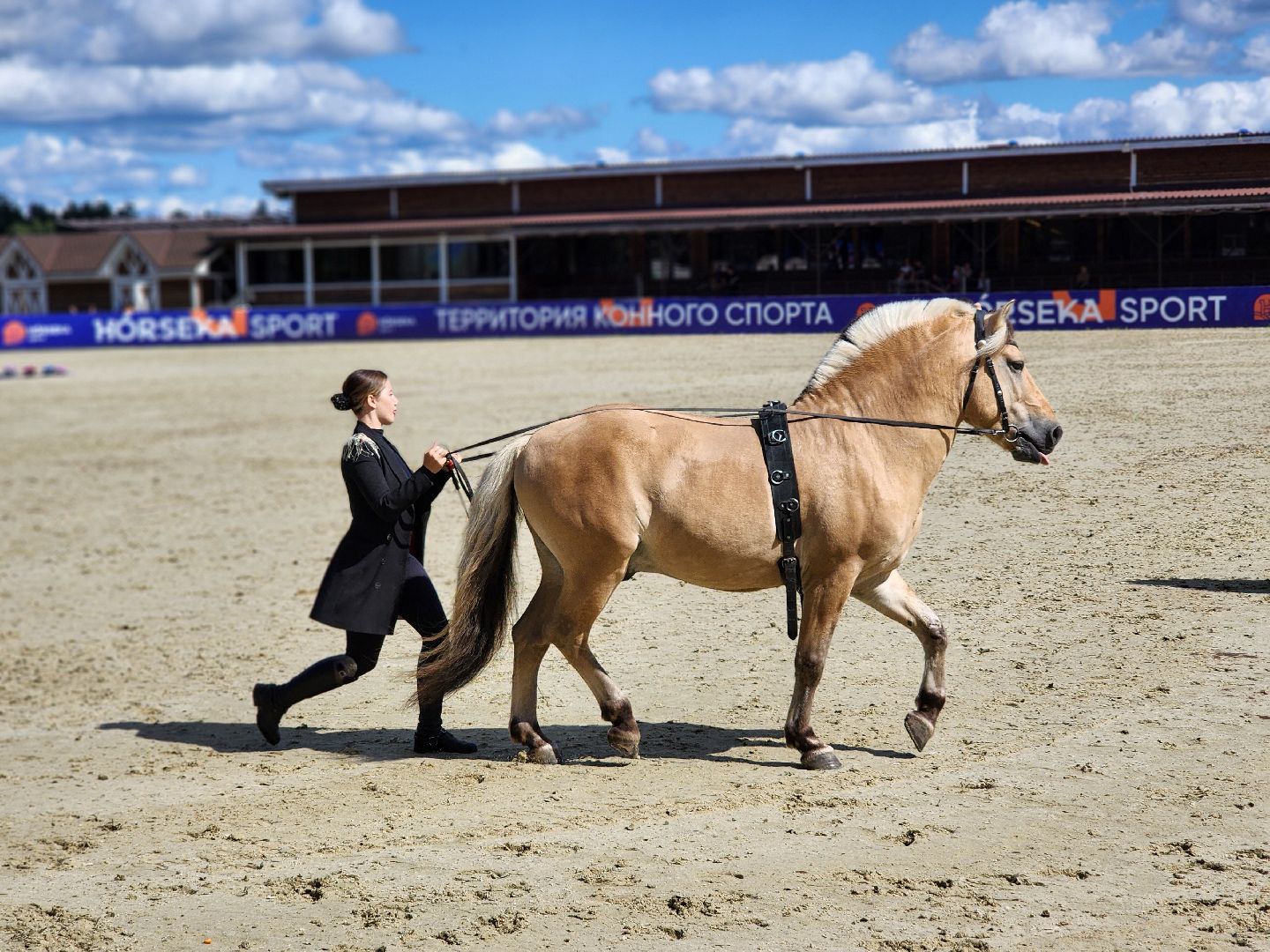 конный фестиваль, иваново поле, конный спорт, село ивановское, городской округ черноголовка,
