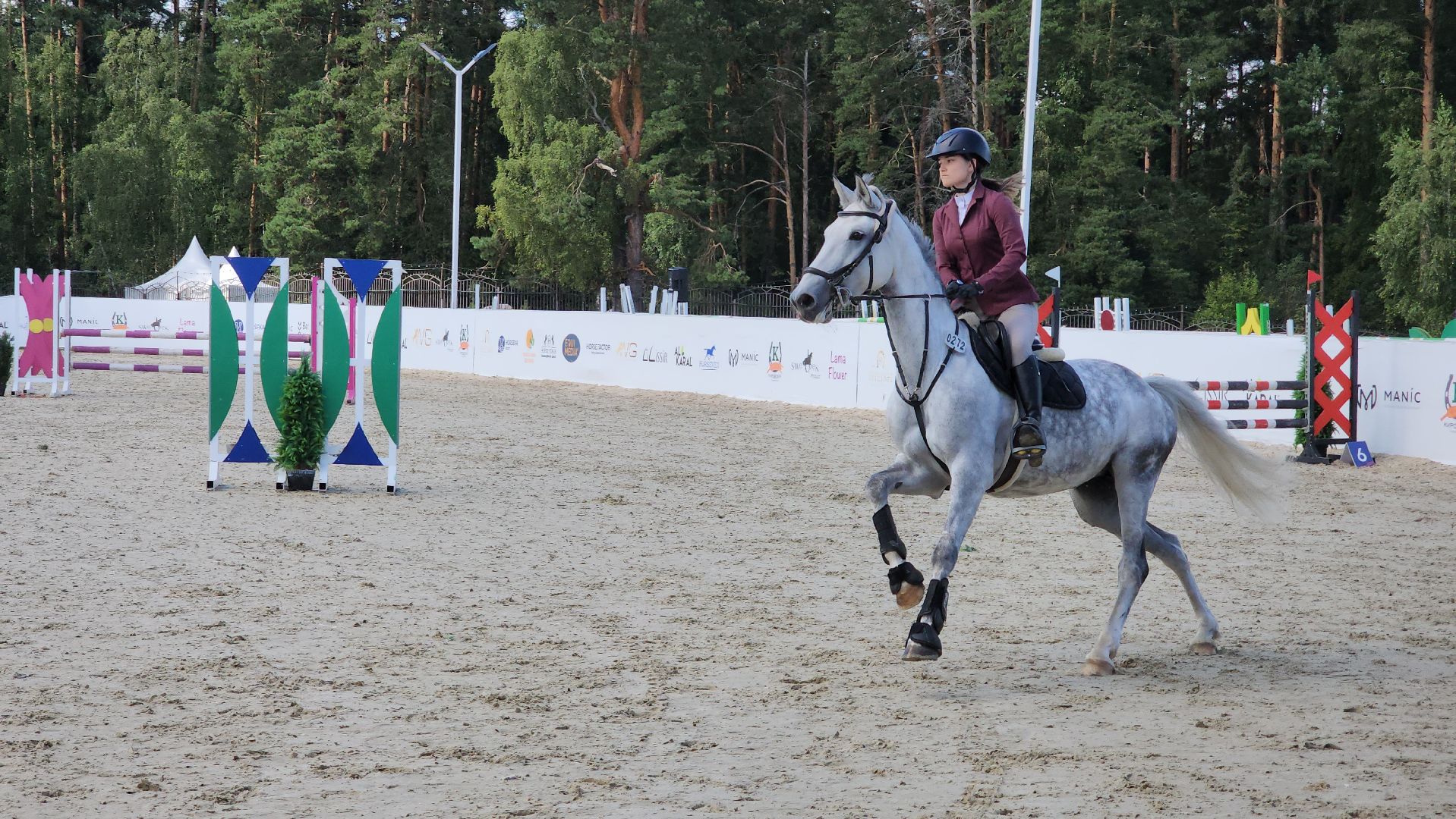 конный фестиваль, иваново поле, конный спорт, село ивановское, городской округ черноголовка,