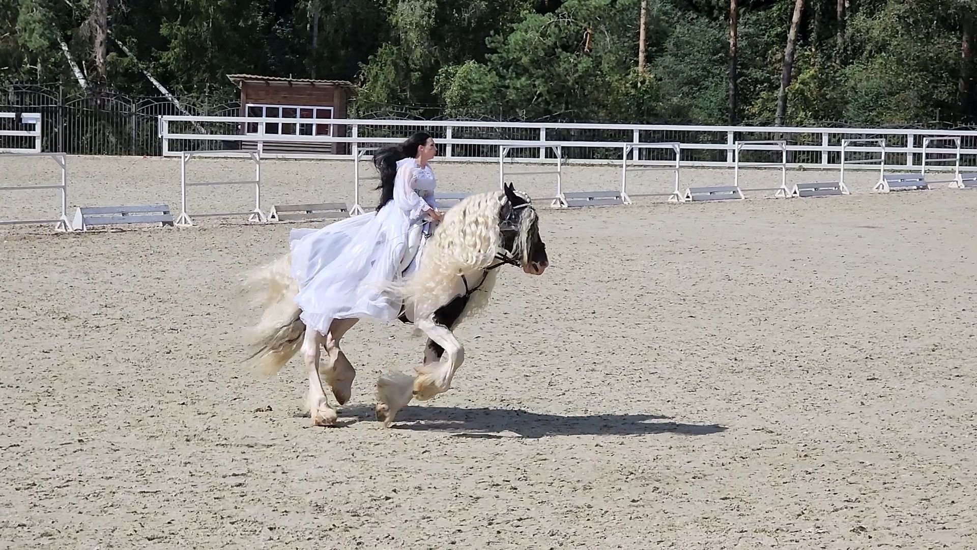 конный фестиваль, конный театр, иваново поле, село ивановское, богородский городской округ,