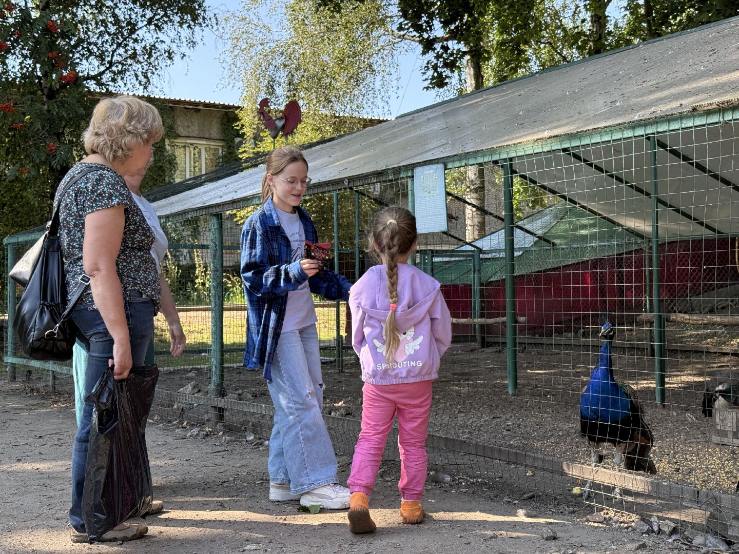 раменское, туризм, гжель, гжельский зоопарк, контактный зоопарк,