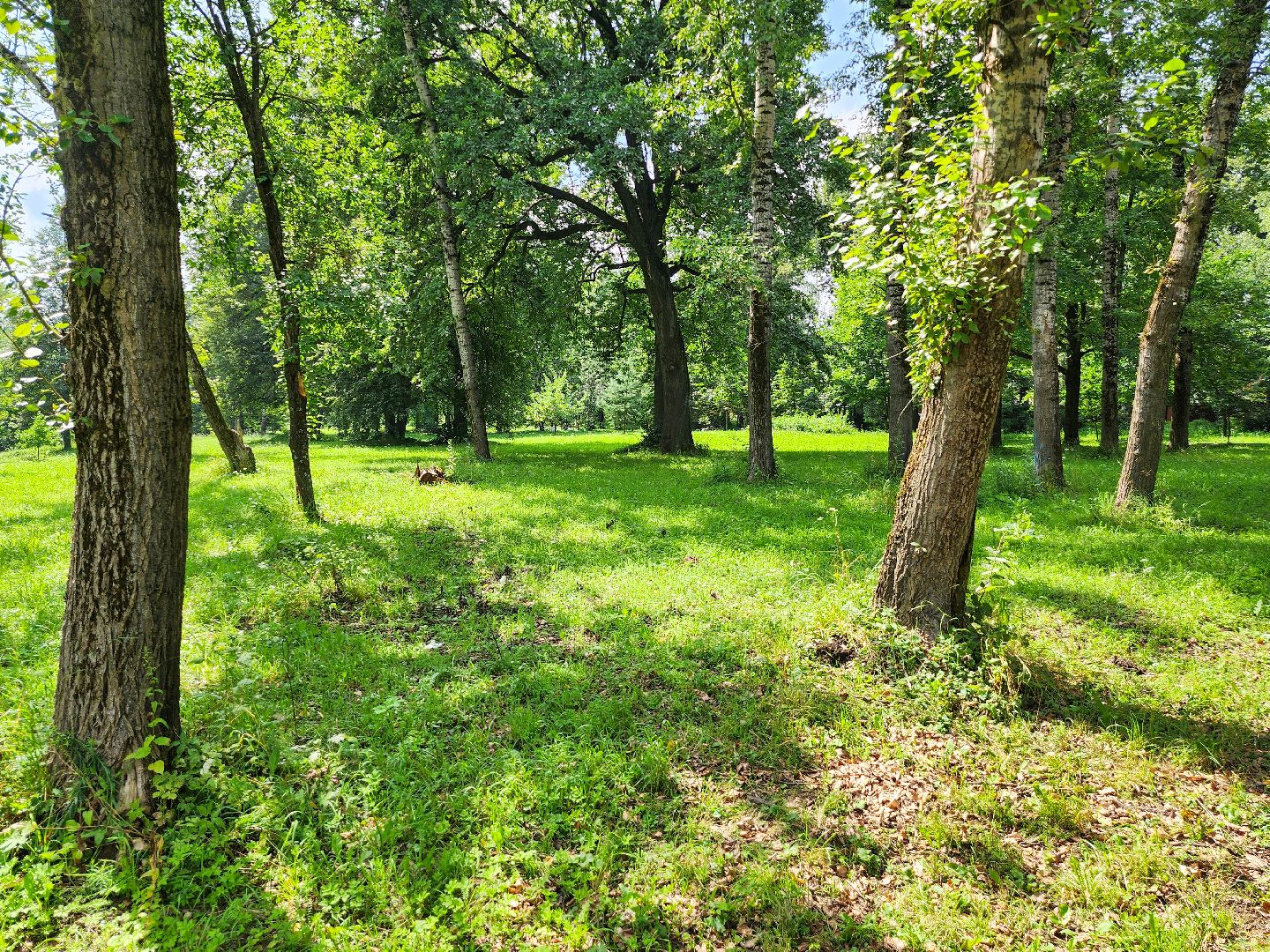 Подольск, Юг молодой, павел быков, запорожье, подольская филармония,