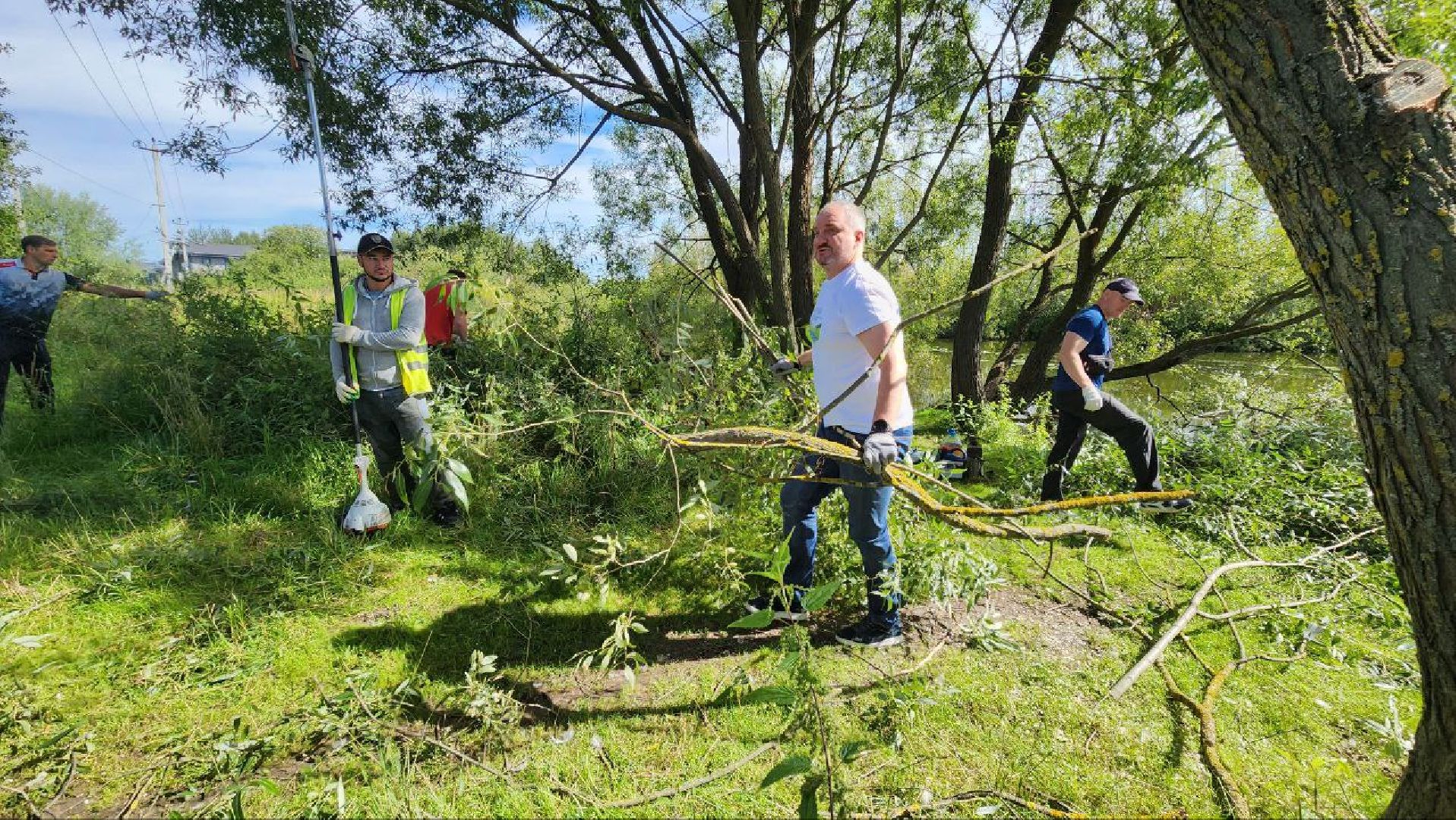 Дмитров, Внуковский пруд, Акция Чистый берег, Минэкологии, Минблаго,