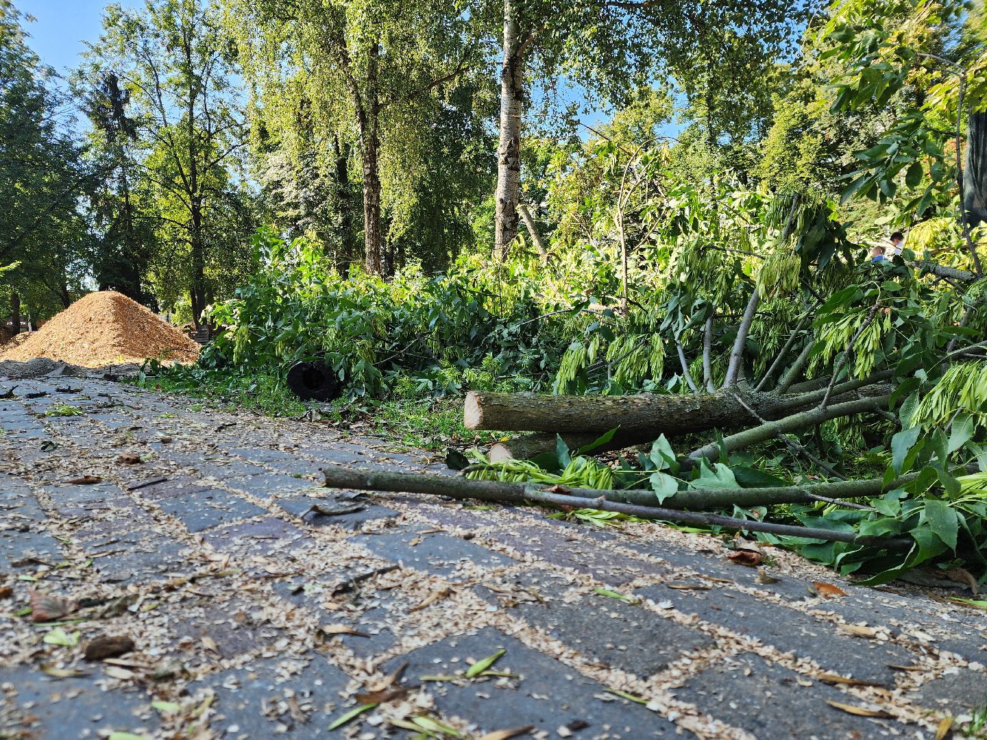 ногинск, благоустройство, жители, ремонт, сквер,