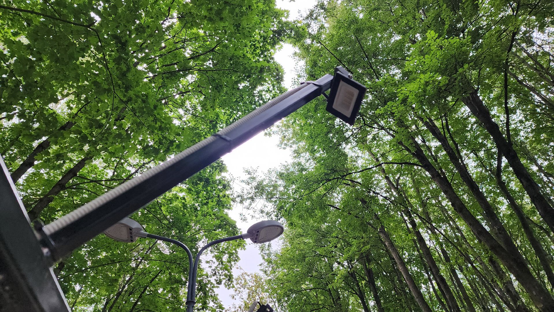 солнечногорск, городской парк, фотография, достопримечательности,