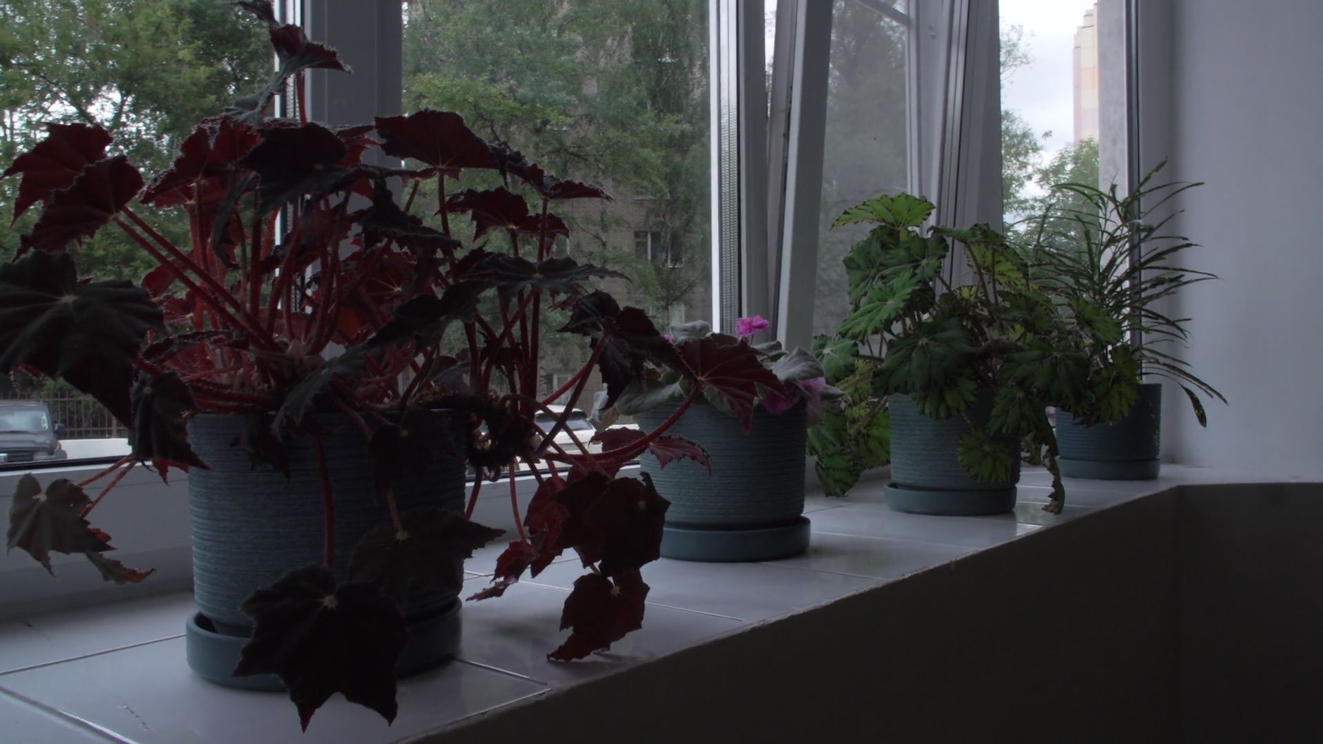 Реутов, благоустройство, конкурс главы, клумбы, подъезд,