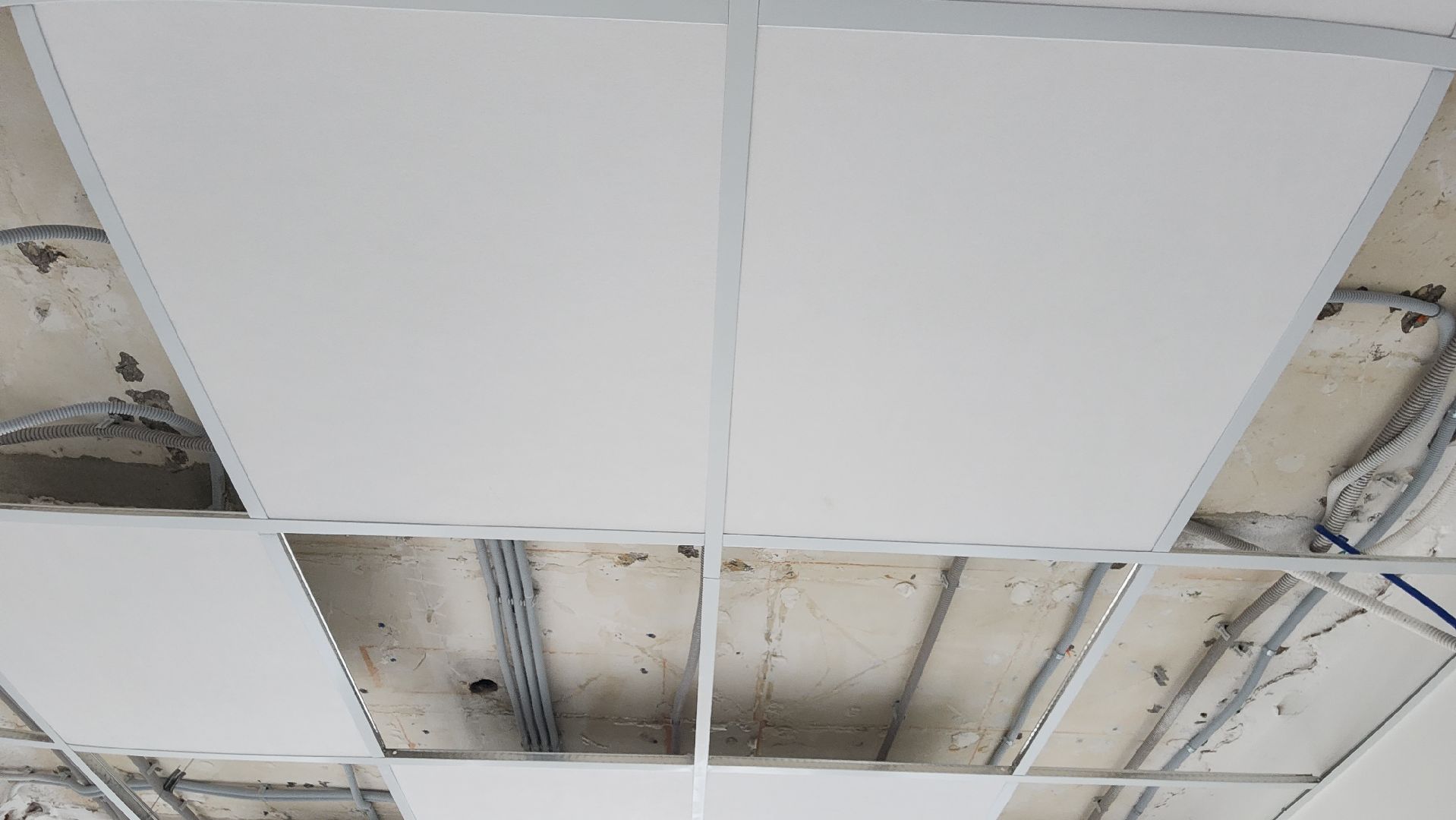 волоколамск, строительство, ремонт, общежитие для студентов,