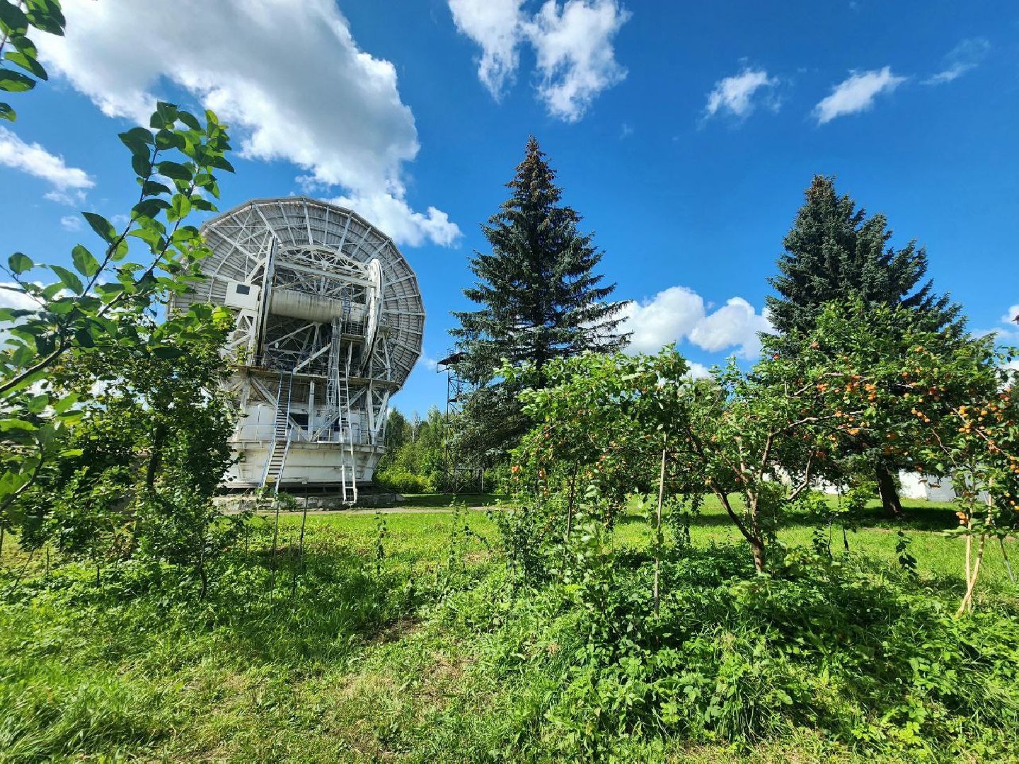 пущино, серпухов, лето 2025, сельское хозяйство,