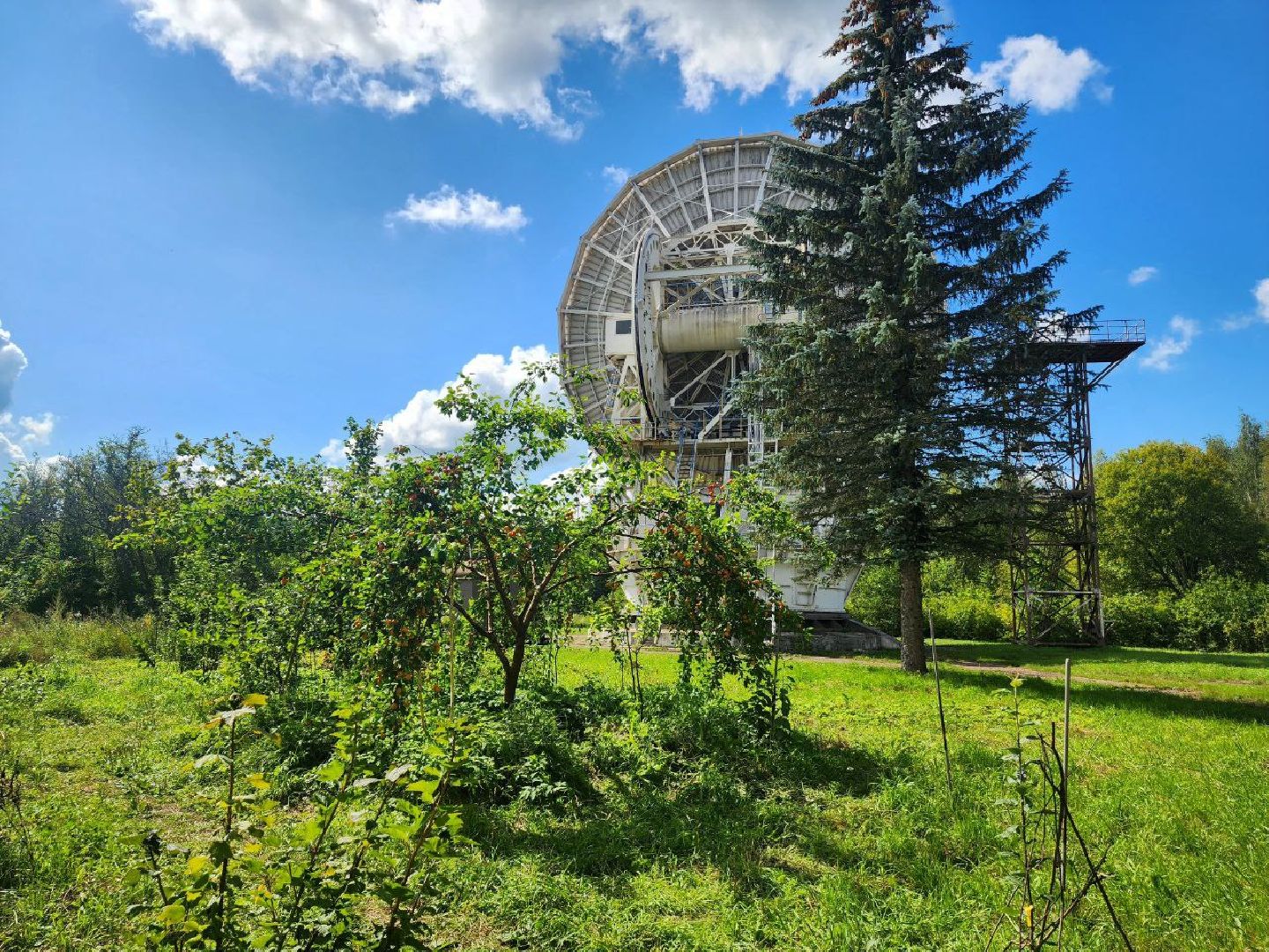 пущино, серпухов, лето 2025, сельское хозяйство,