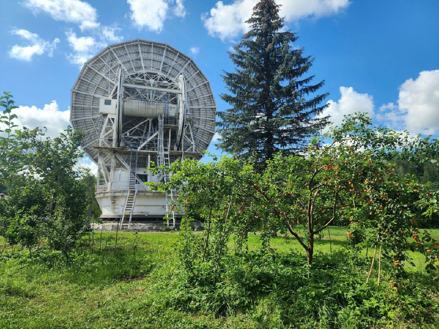 пущино, серпухов, лето 2025, сельское хозяйство,