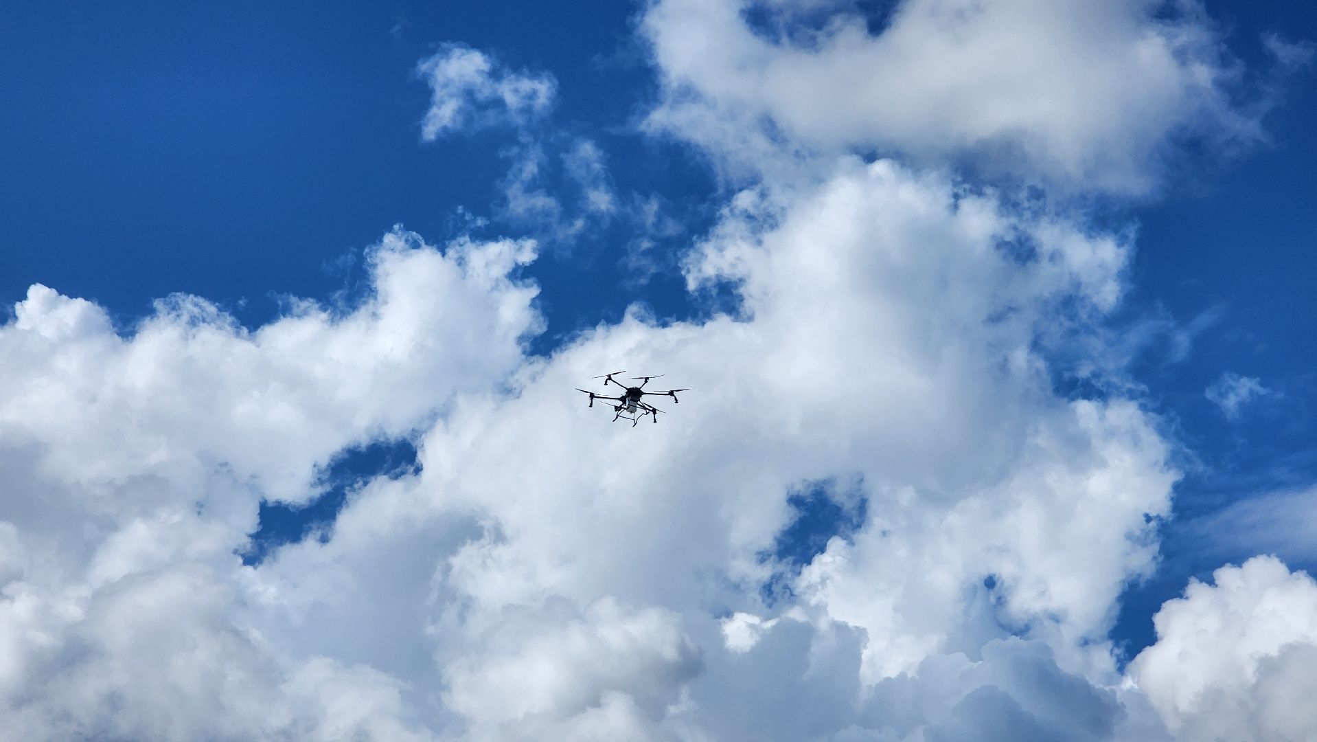 Зарайск, день поля в зарайске, Аршин, Беспилотник для аграриев,