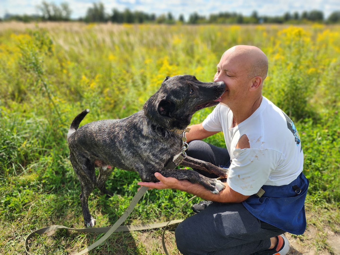 королёв, всем по собаке , зоо дом, приют для собак в королеве, волонтеры,