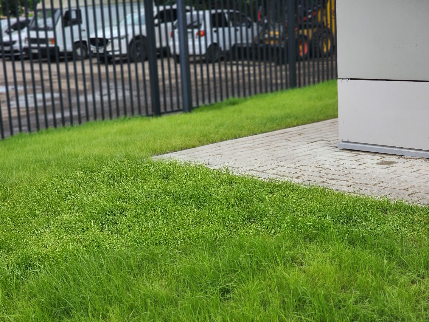 королёв, благоустройство , школа 1,