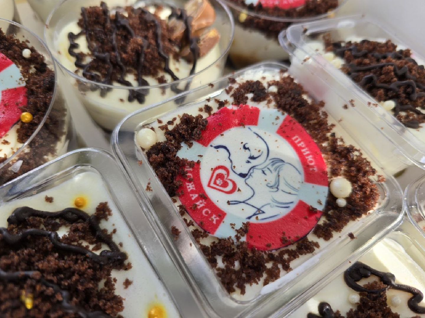 можайск, можайский муниципальный округ, подмосковье, приют бездомных животных, день рождения,  15 лет, юбилей, собаки,