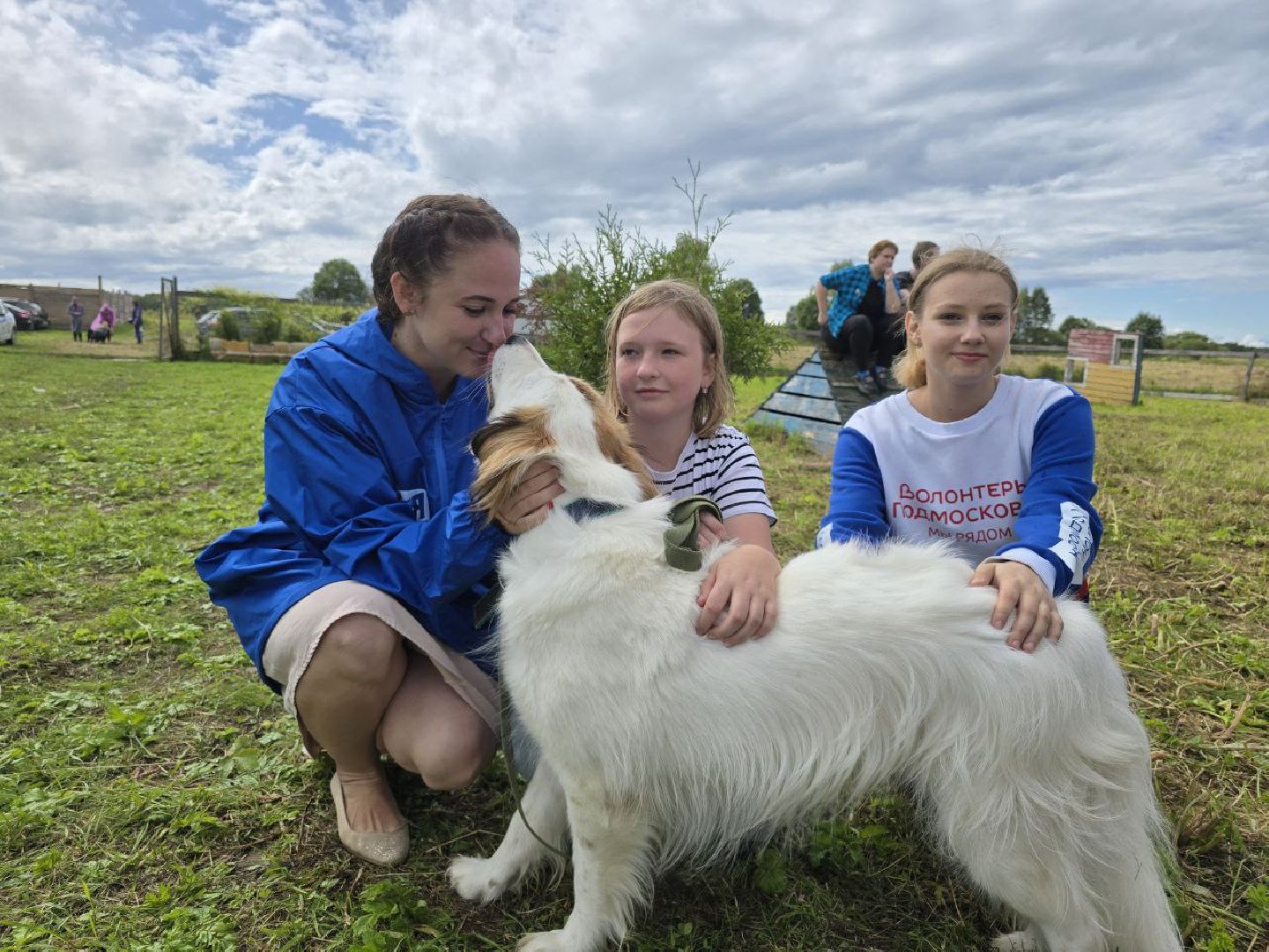 можайск, можайский муниципальный округ, подмосковье, приют бездомных животных, день рождения,  15 лет, юбилей, собаки,