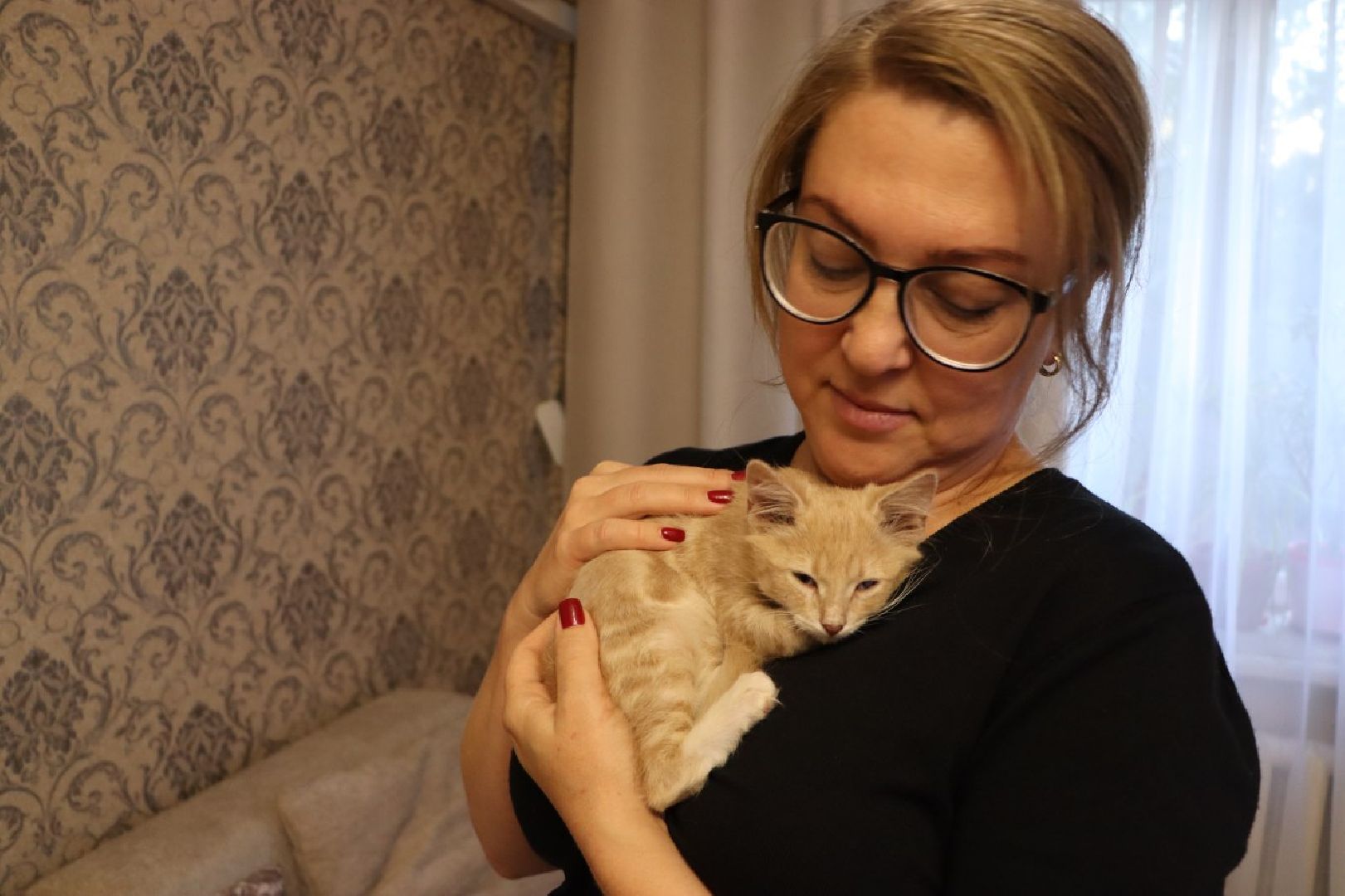 серебряные пруды, спасение бездомных животных,