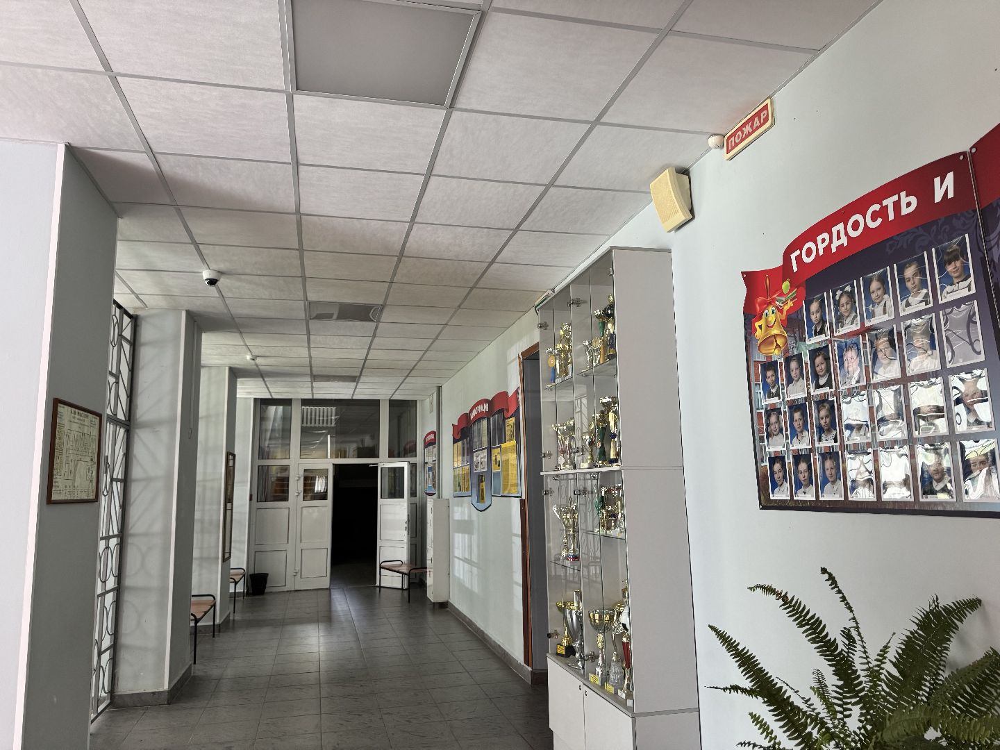 шаховская, подготовка гимназии к новому учебному году, подготовка к 1 классу,школы,