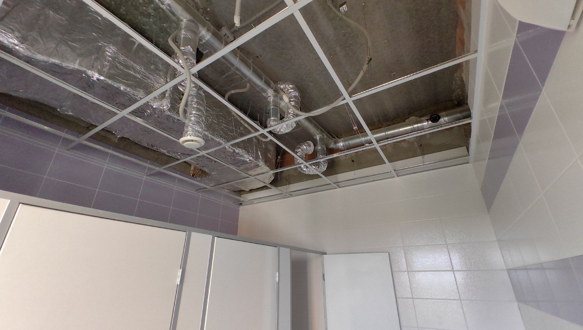 ремонт, санузел, школа, учебный год, потолки,