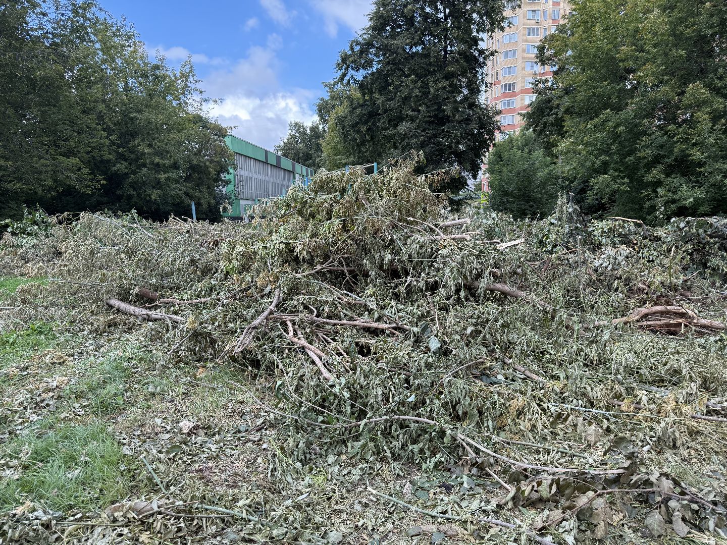 Благоустройство, Люберцы, Гимназия, Стадион, Спорт,