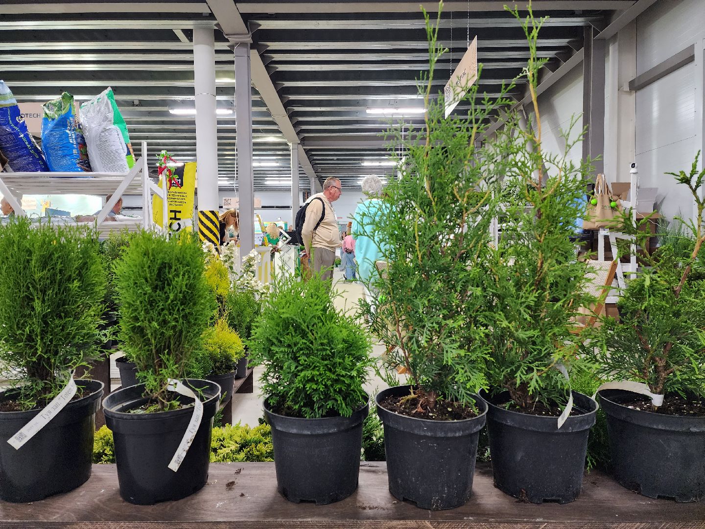 люберцы, сельское хозяйство, вторая международная выставка ассоциации производителей посадочного материала ,