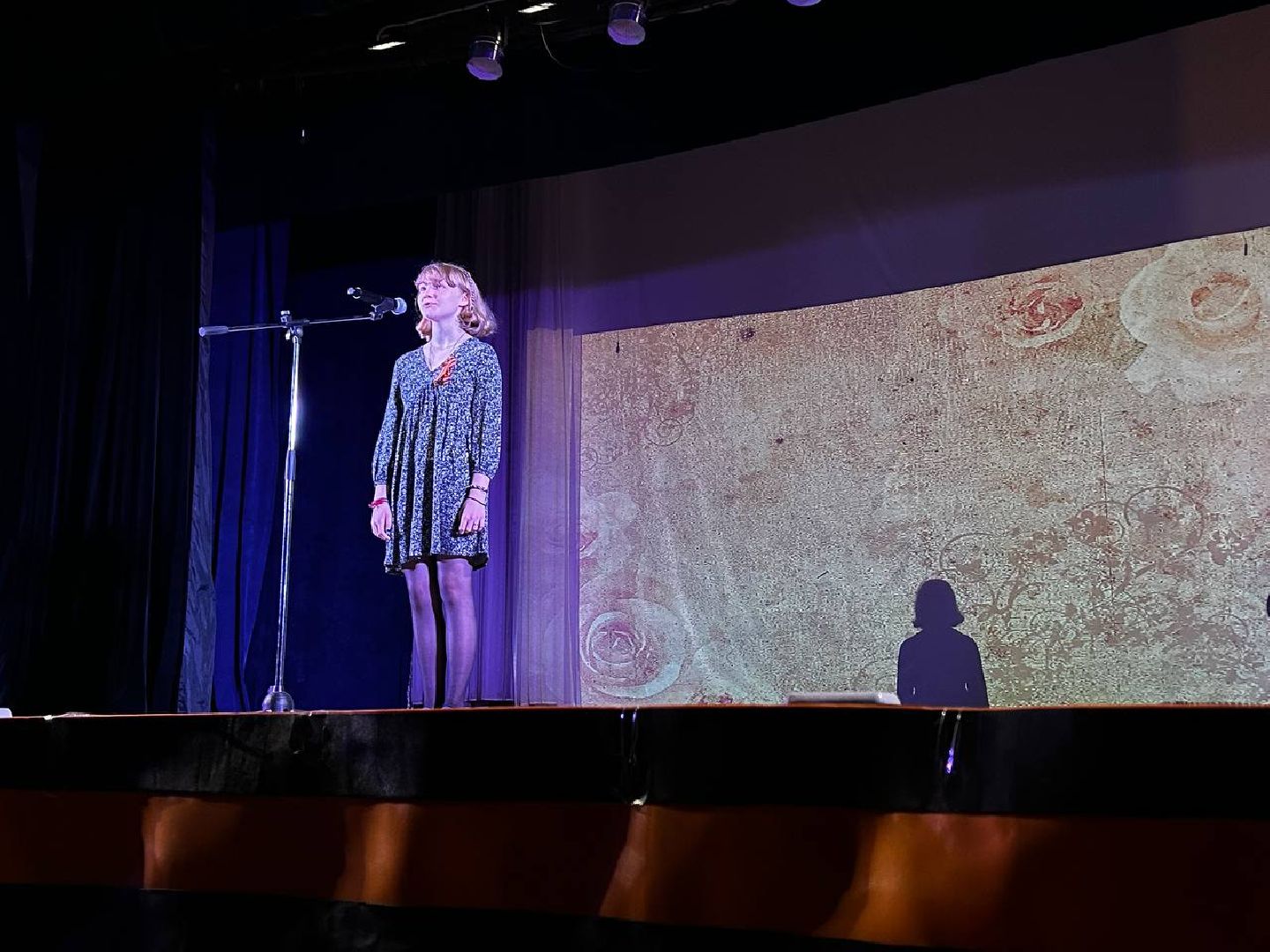 Подольск, концерт