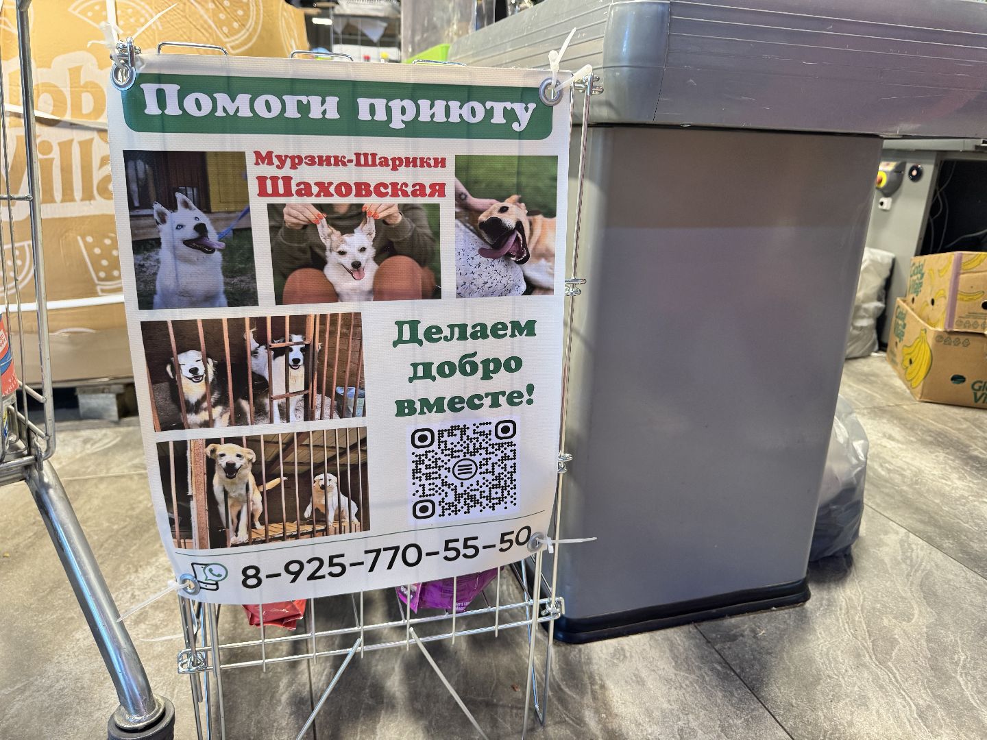 шаховская, приют бездомных животных, приют для бездомных животных, приют для животных, сбор помощи, акция,
