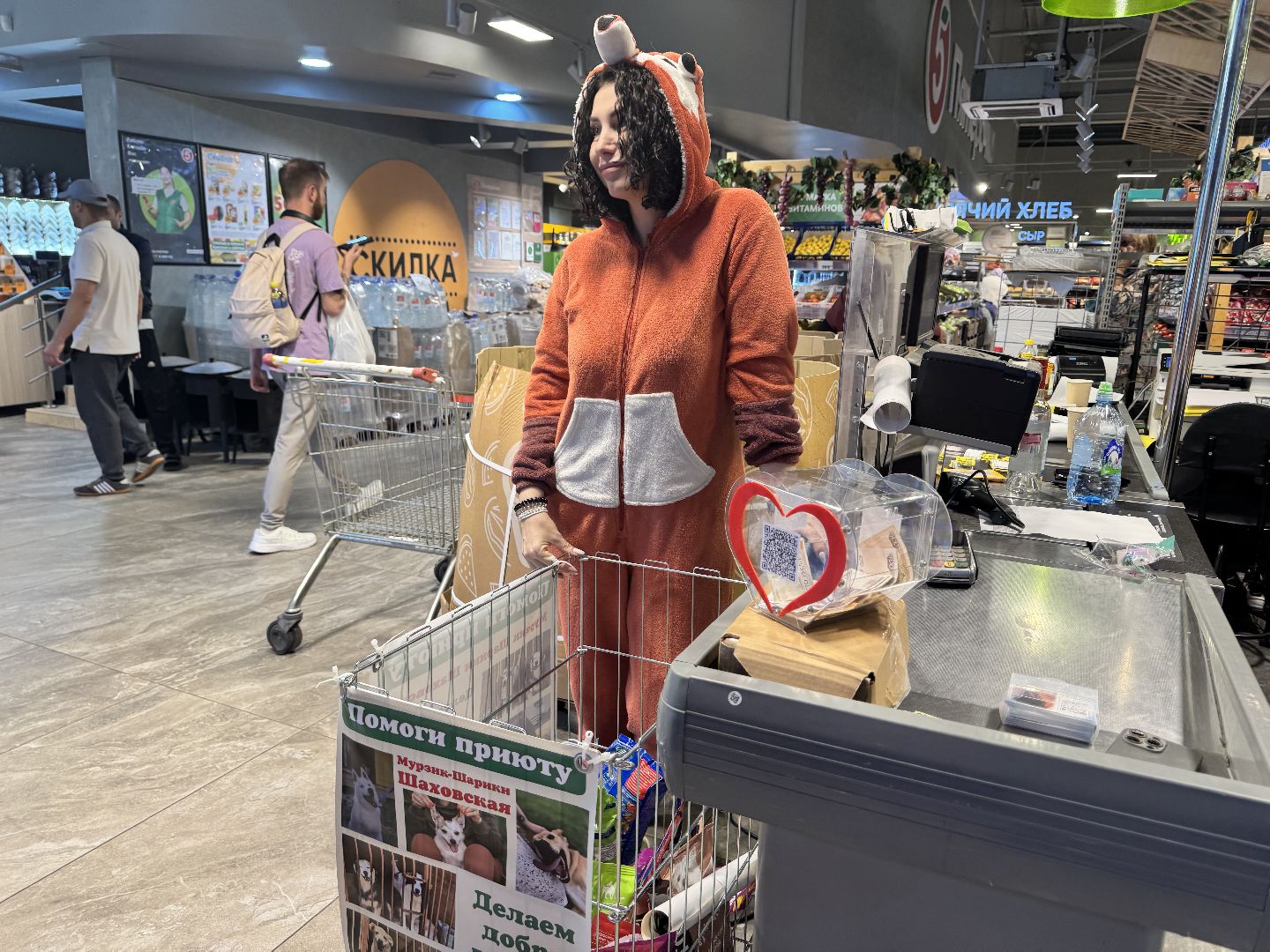 шаховская, приют бездомных животных, приют для бездомных животных, приют для животных, сбор помощи, акция,